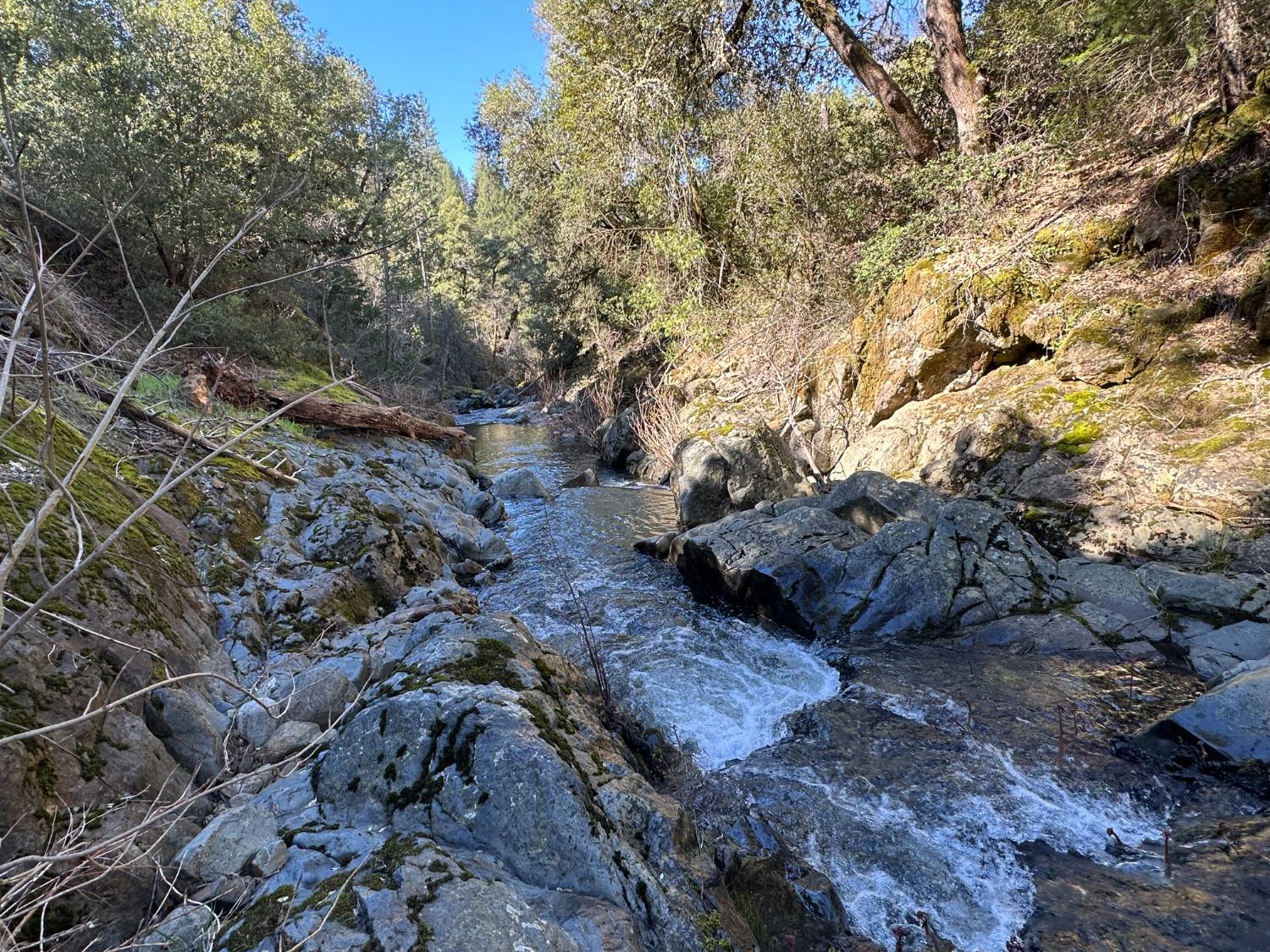 Wildwood Trails, Dobbins, California image 5