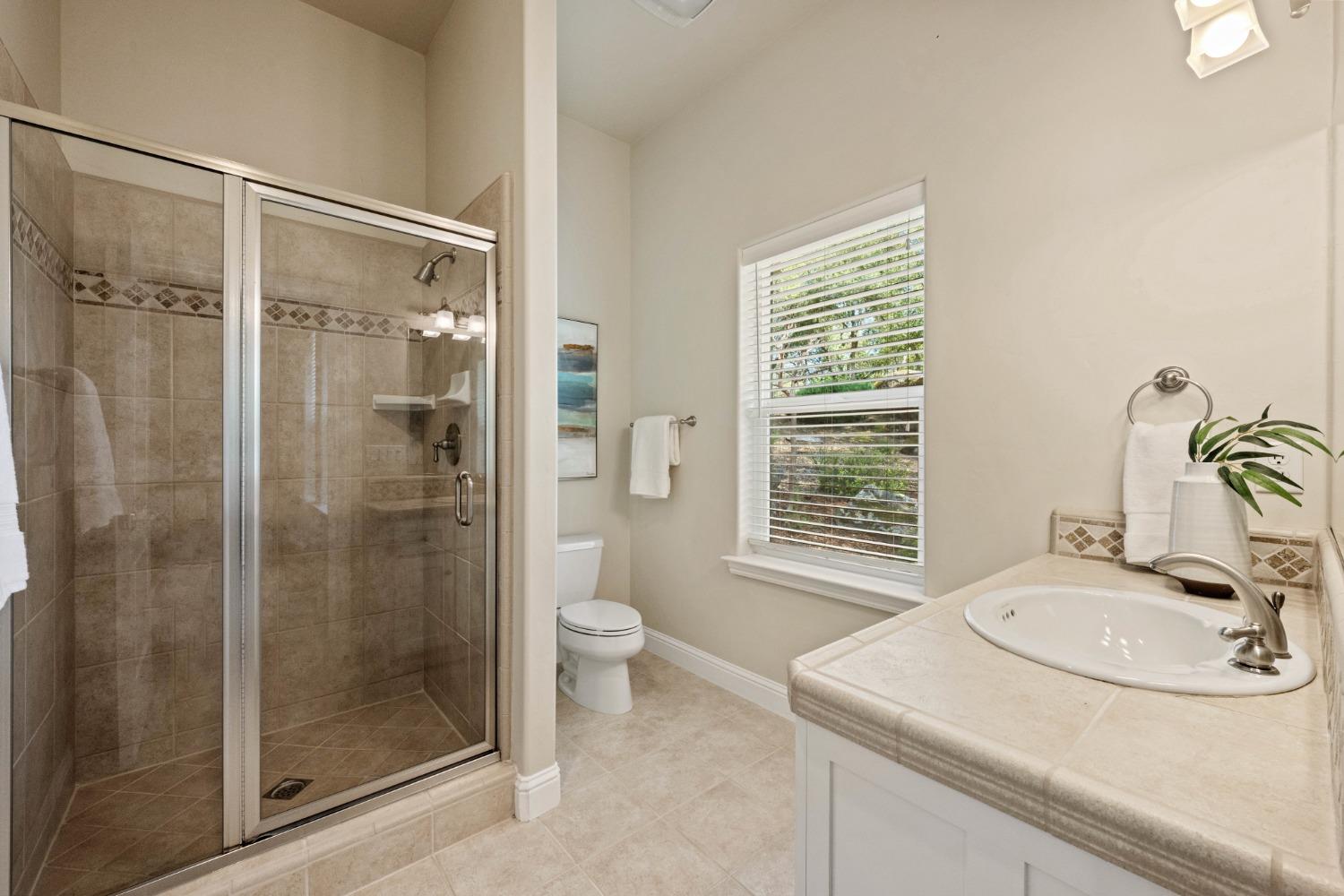 Detail Gallery Image 17 of 75 For 9604 Drambuie Ct, Loomis,  CA 95650 - 4 Beds | 4/1 Baths