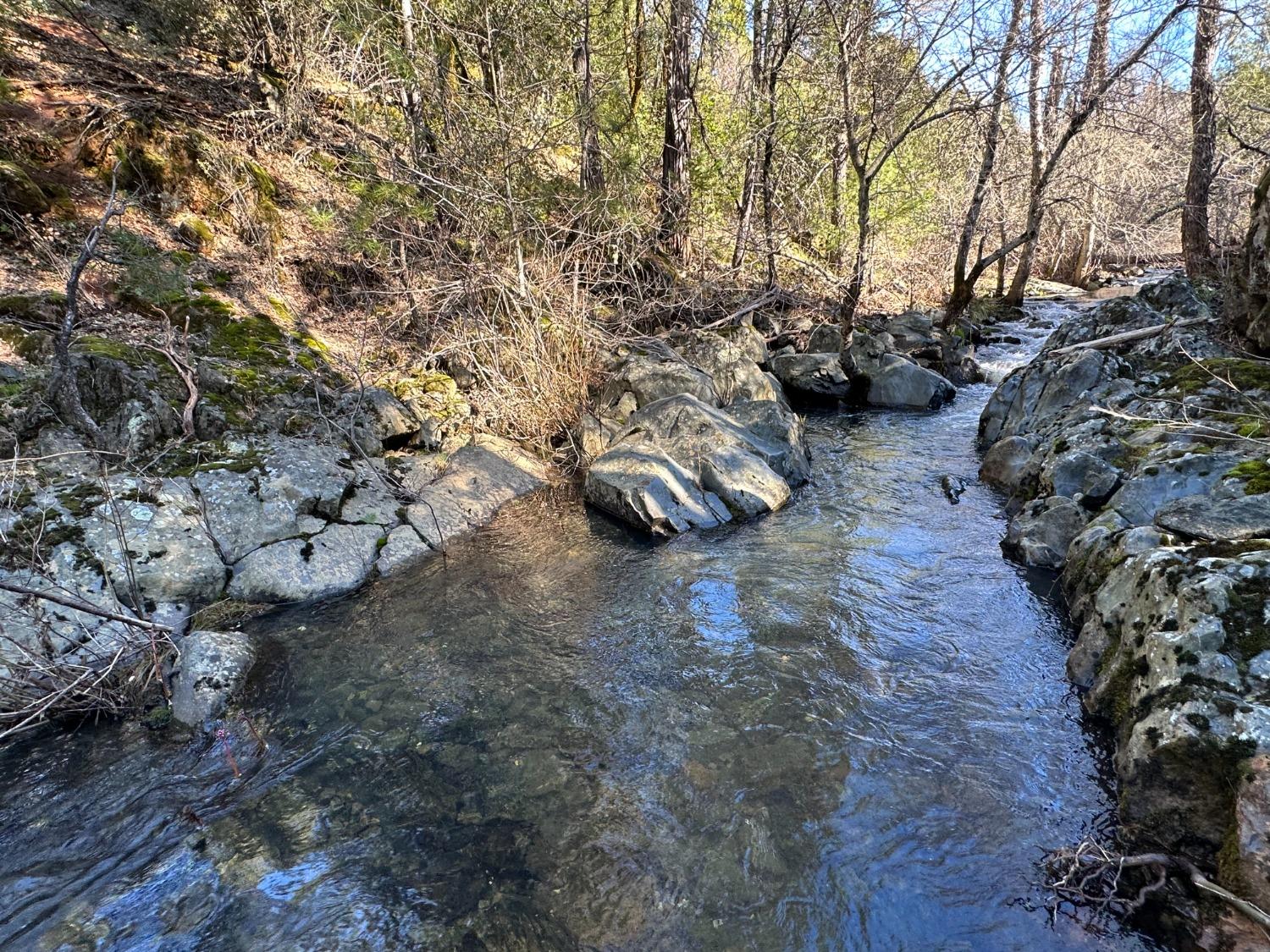 Wildwood Trails, Dobbins, California image 4