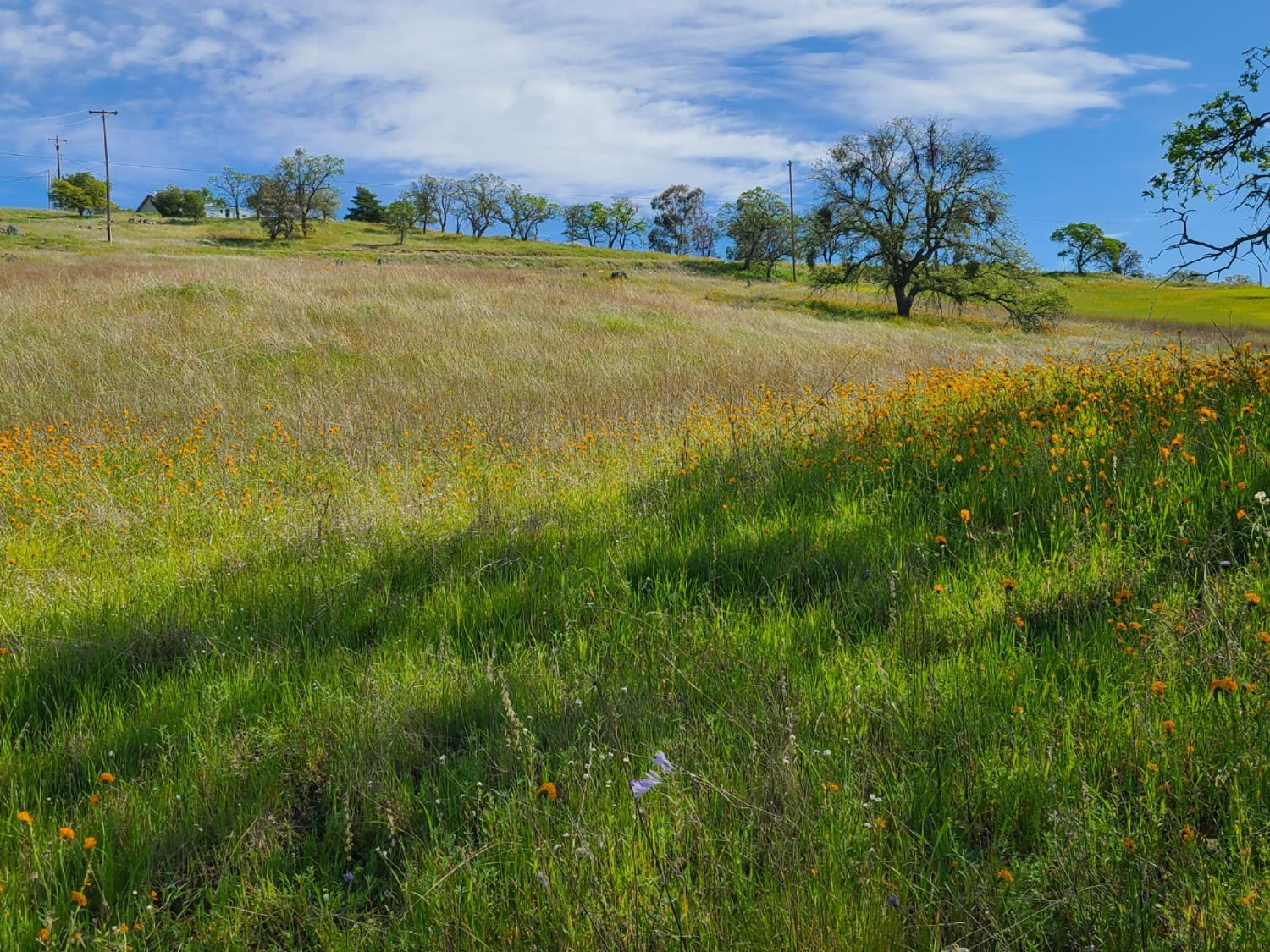 9757 Hernandez Drive, La Grange, California image 20