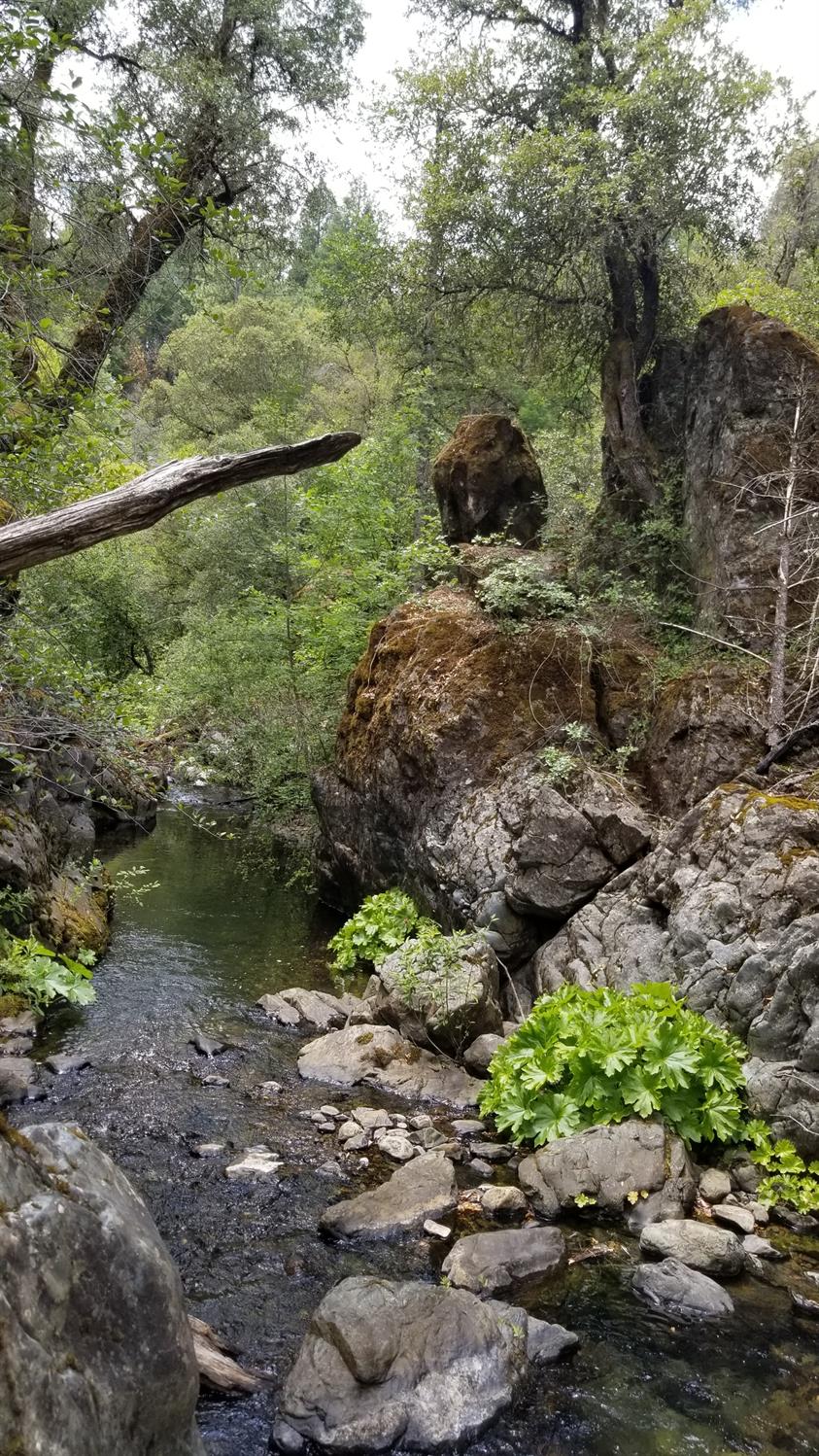 Wildwood Trails, Dobbins, California image 18