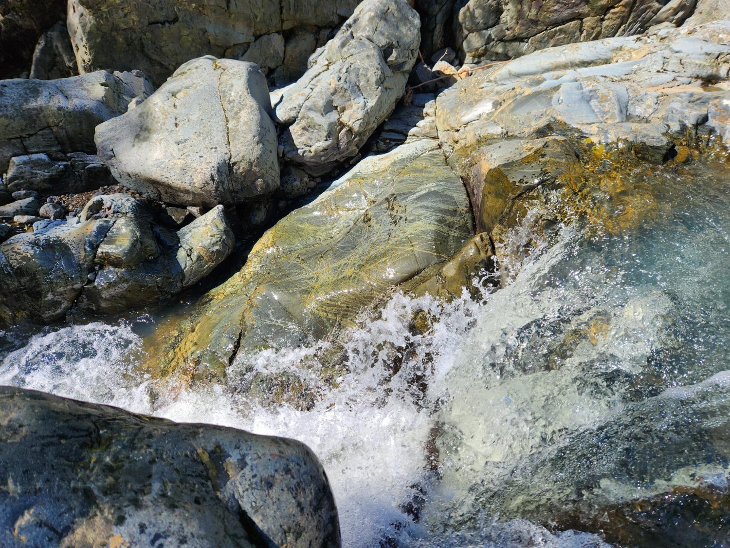 Wildwood Trails, Dobbins, California image 3