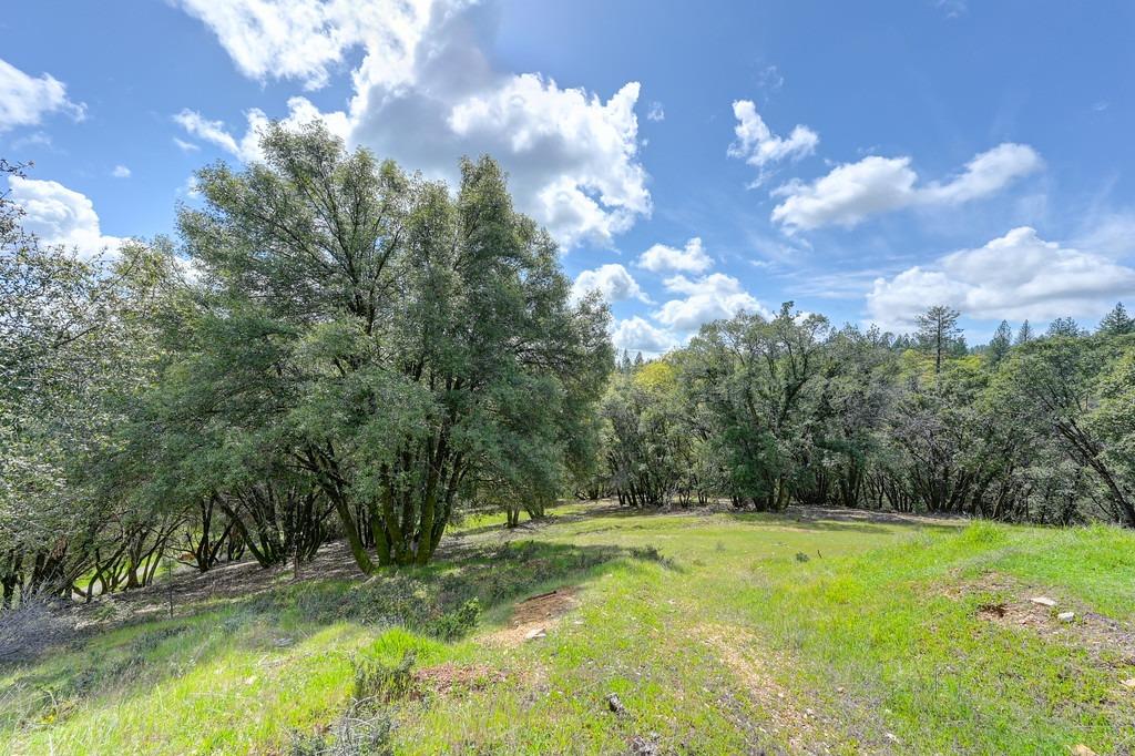 Lot 3 Cuckoo Court, Applegate, California image 12