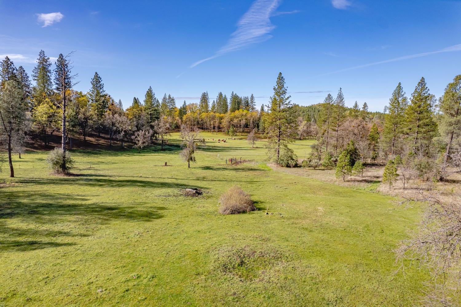 Keystone Trail, Dobbins, California image 1