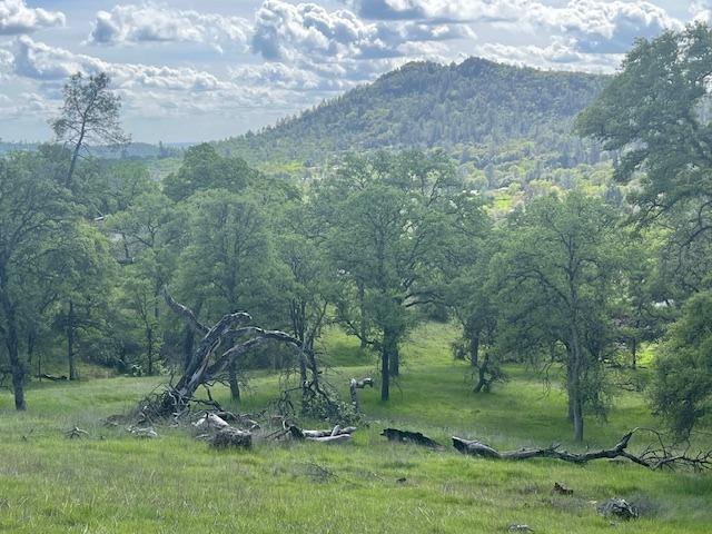 Photo of 24 Wades Wy in Browns Valley, CA