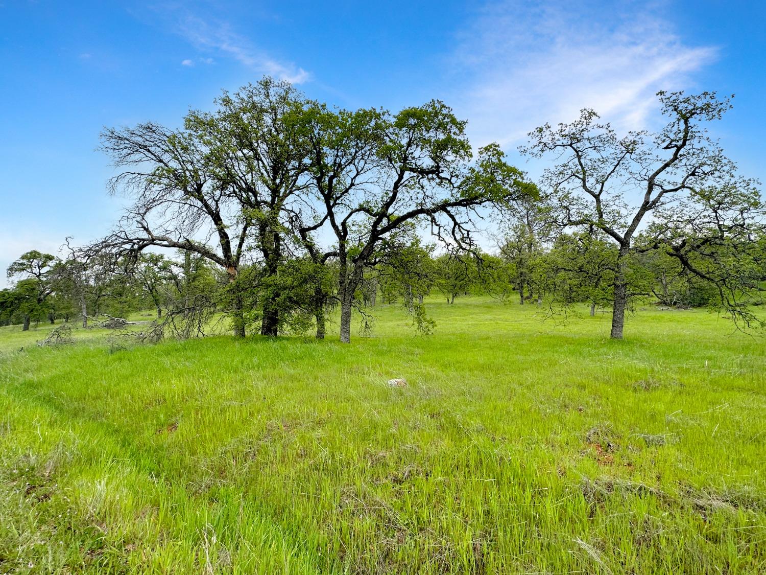 Clyde Way, Smartsville, California image 29