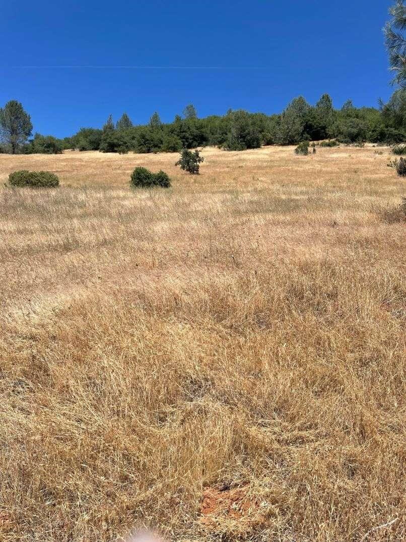 Photo of 10075 Houghton Ranch Rd in Penn Valley, CA