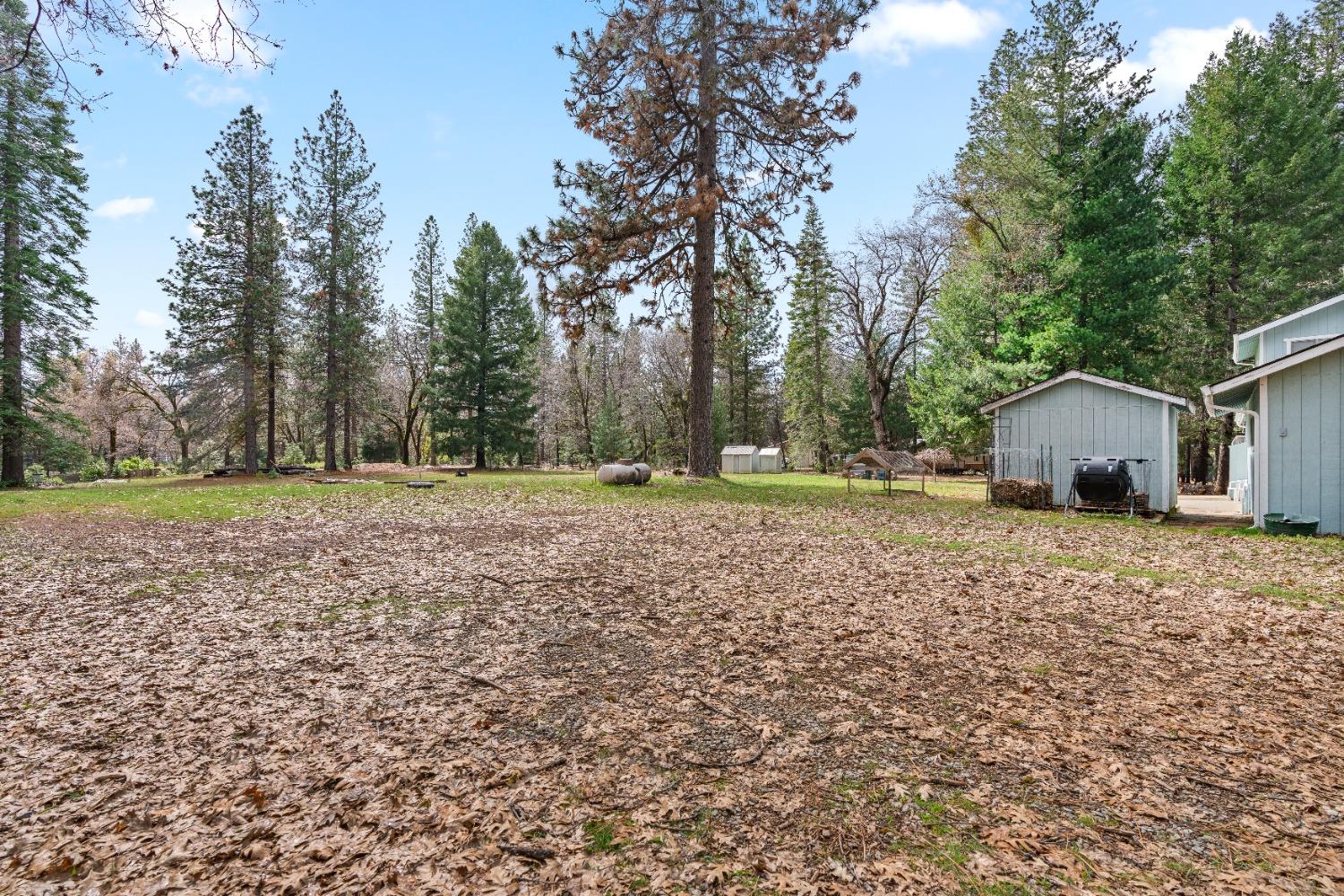 Detail Gallery Image 27 of 45 For 1388 Ridge Rd, North San Juan,  CA 95960 - 2 Beds | 2 Baths