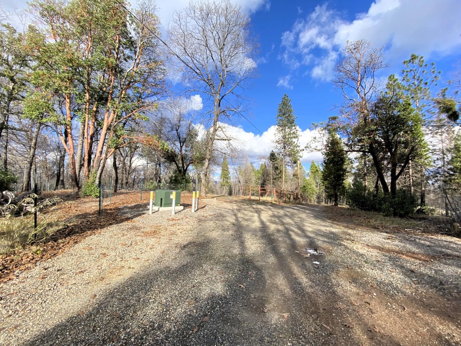 Berryessa Lane, Berry Creek, California image 17