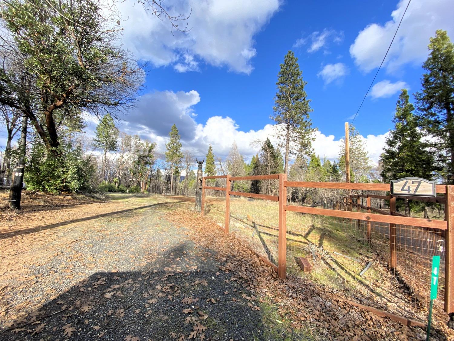 Berryessa Lane, Berry Creek, California image 2