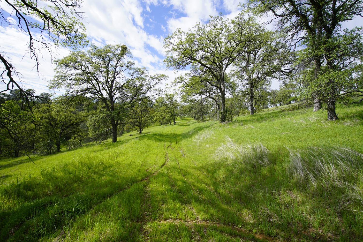 Detail Gallery Image 9 of 44 For 0 Hidden Acres, Browns Valley,  CA 95918 - – Beds | – Baths