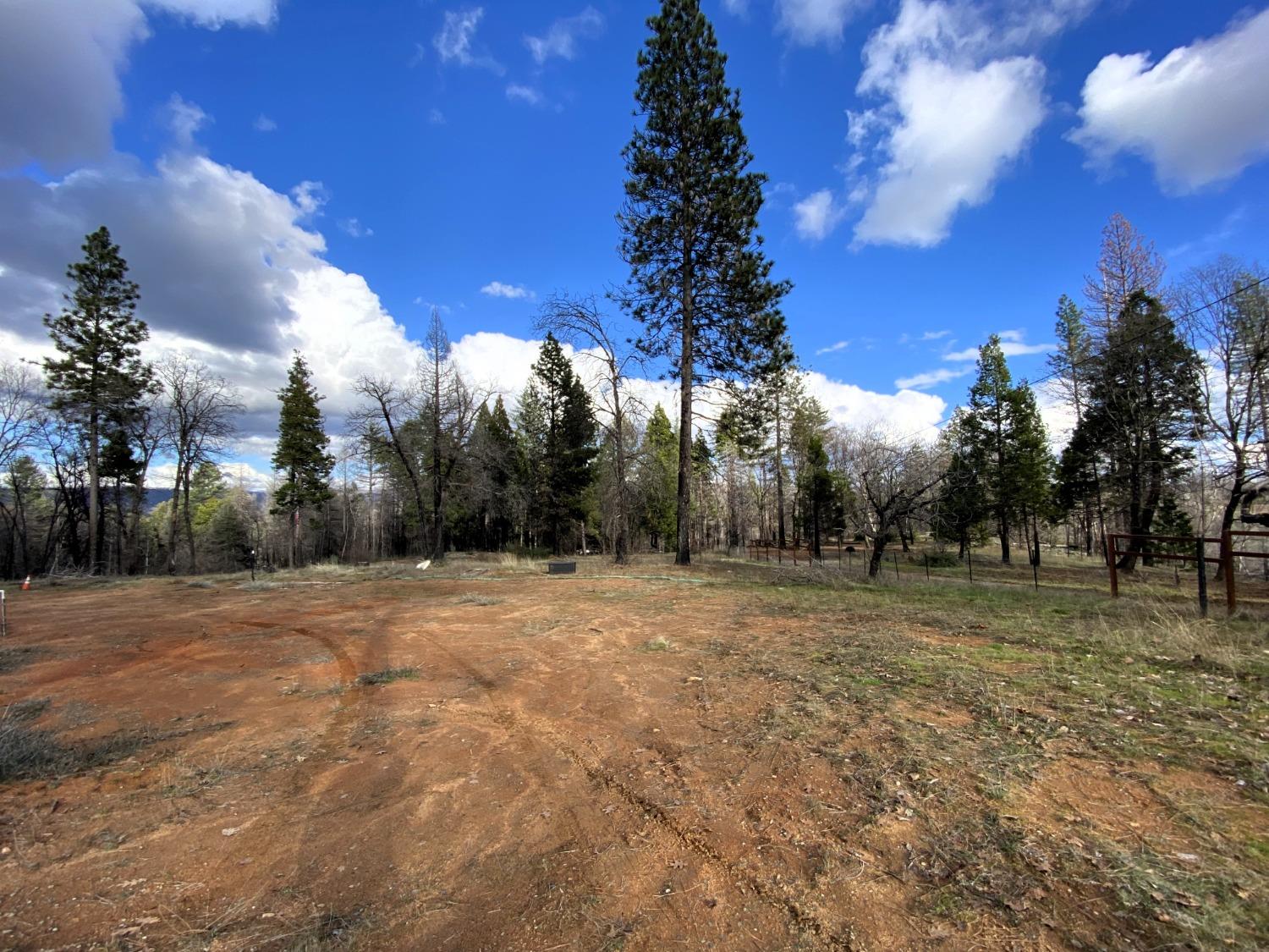 Berryessa Lane, Berry Creek, California image 3