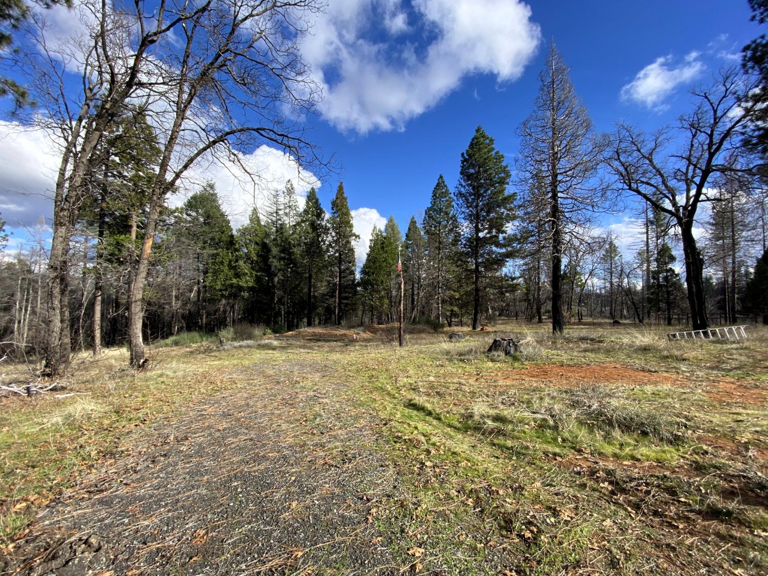 Berryessa Lane, Berry Creek, California image 6