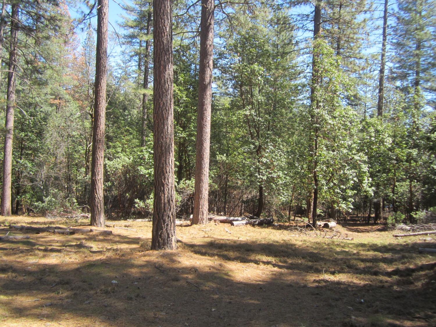 Photo of 6503 Deer Canyon Ct in Placerville, CA