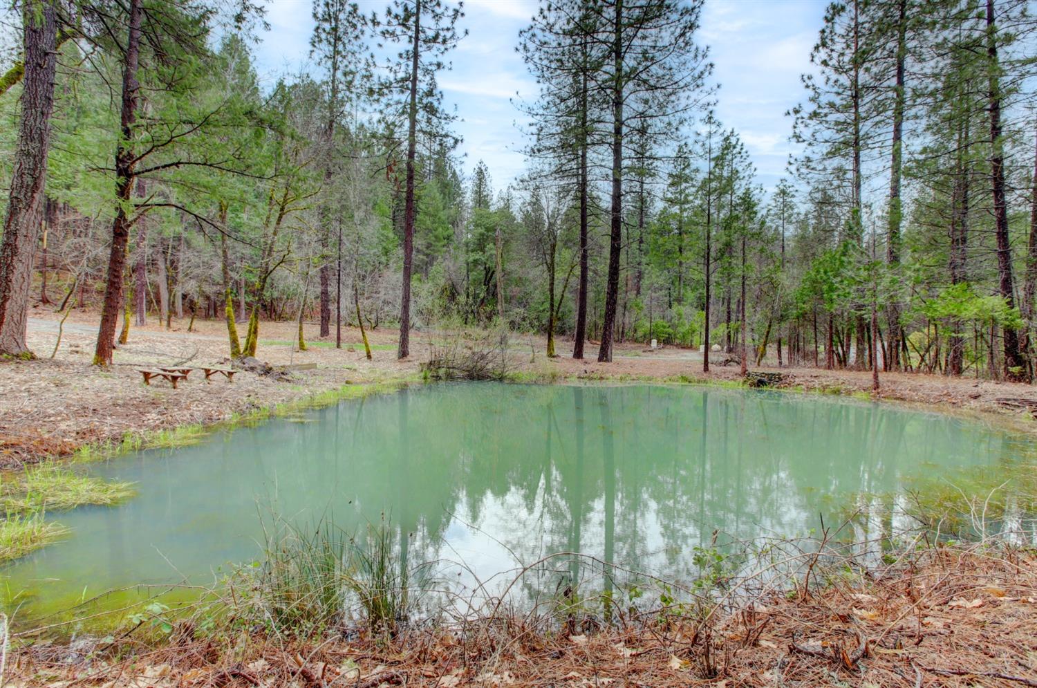 Cooper Road, Nevada City, California image 3