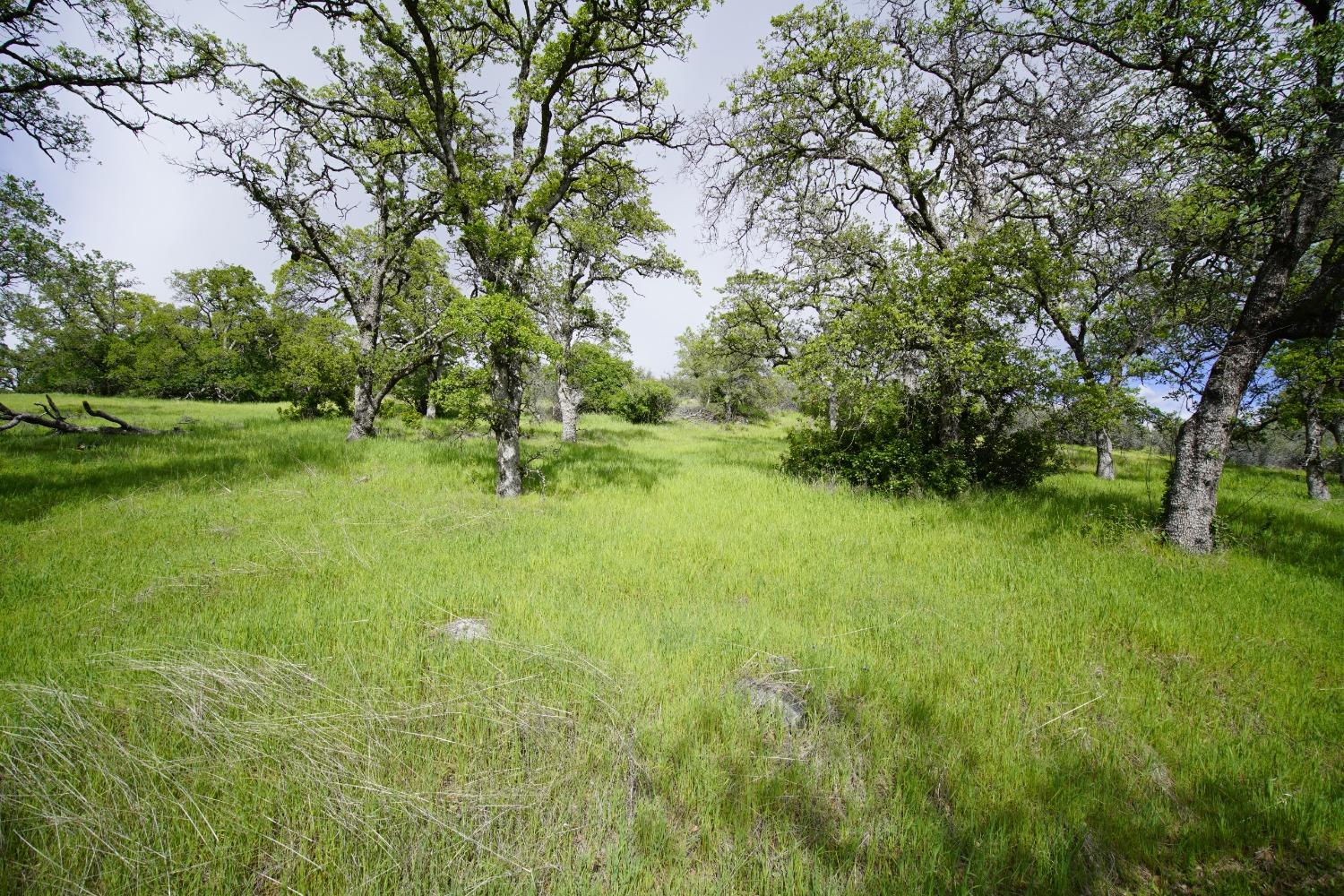 Detail Gallery Image 13 of 44 For 0 Hidden Acres, Browns Valley,  CA 95918 - – Beds | – Baths
