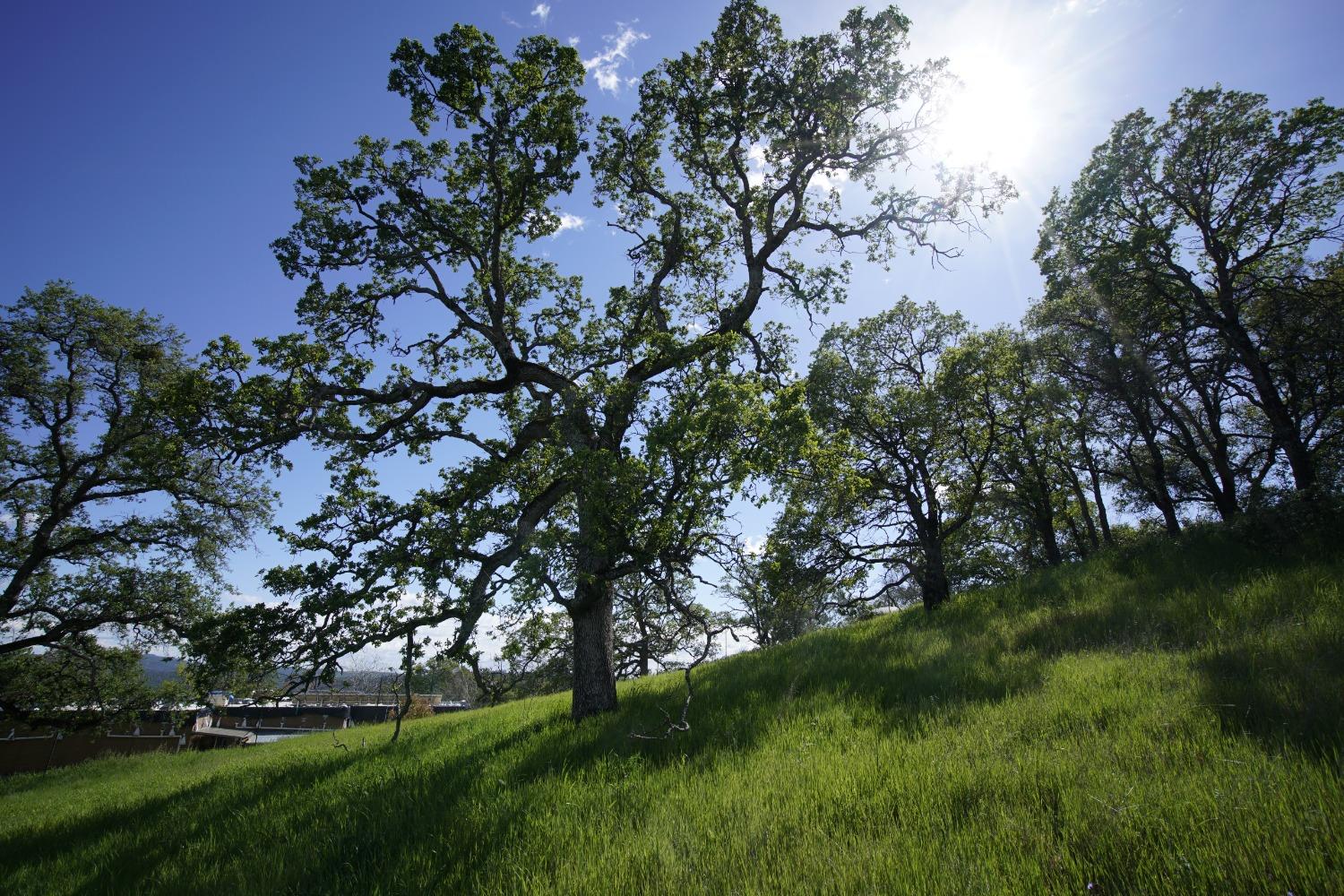 Photo of Hidden Acres in Browns Valley, CA