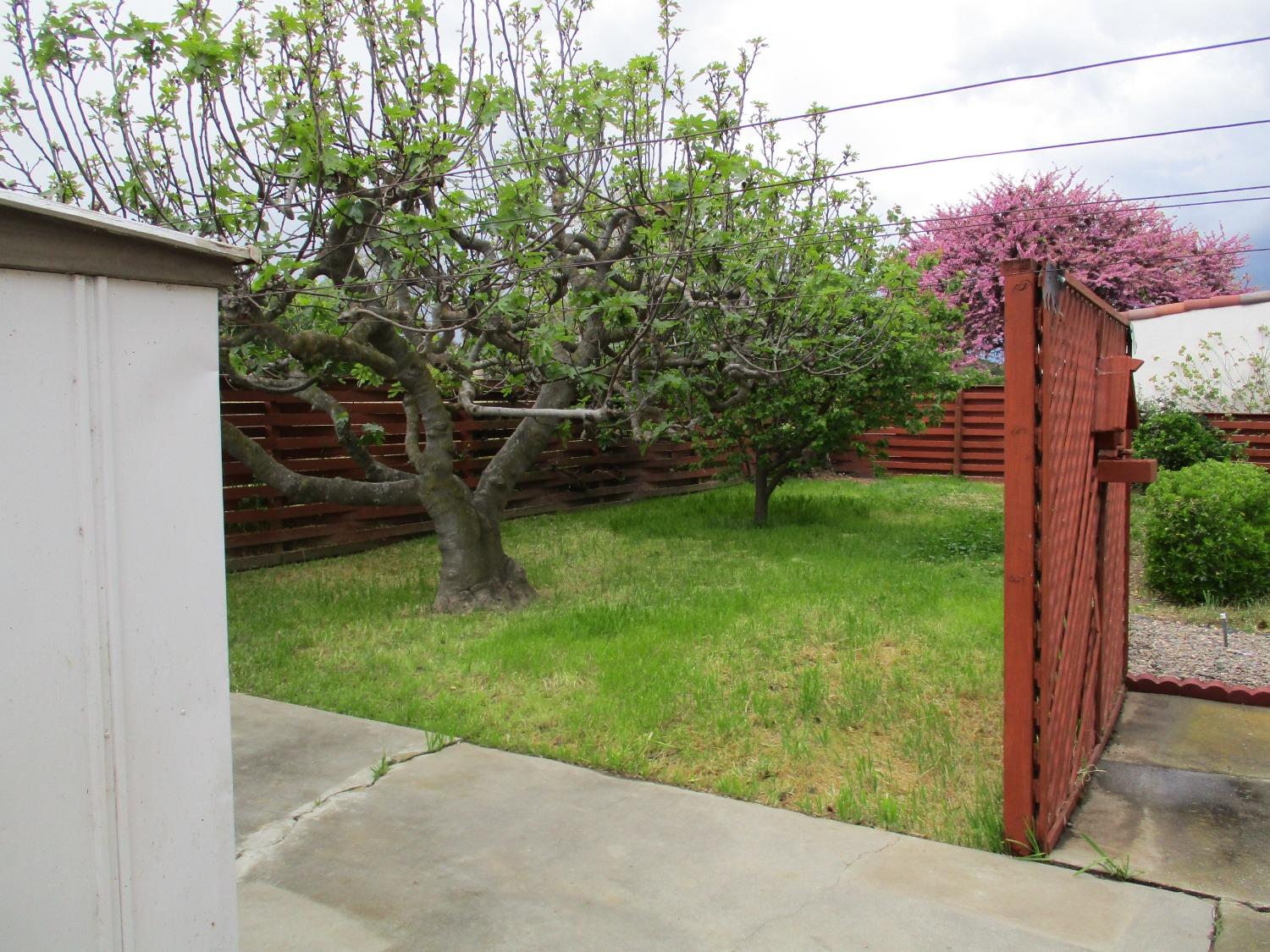 Detail Gallery Image 27 of 33 For 669 Page Ave, Los Banos,  CA 93635 - 3 Beds | 1 Baths