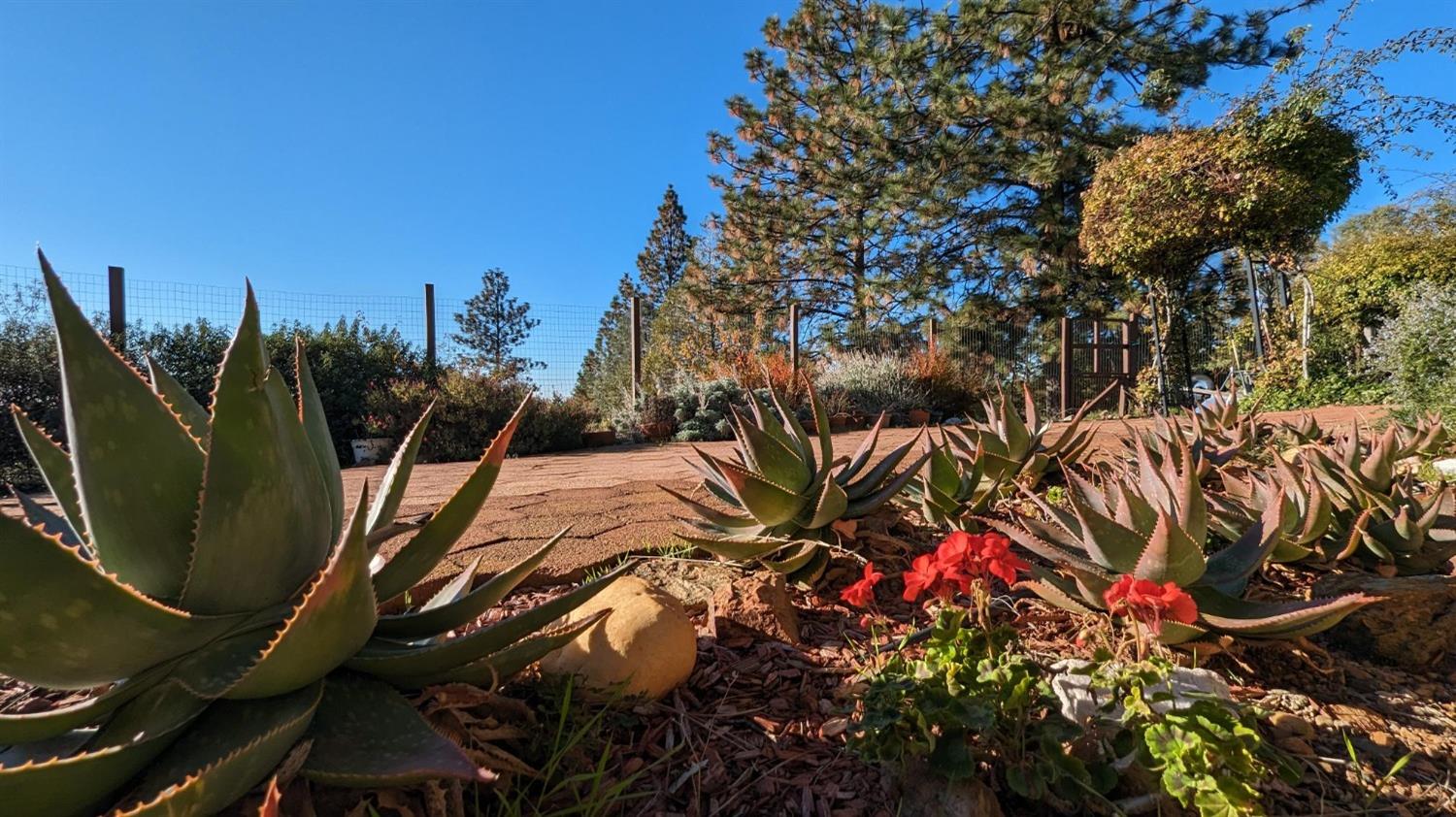 Detail Gallery Image 7 of 93 For 13743 Bowman Rd, Pine Grove,  CA 95665 - 4 Beds | 3 Baths