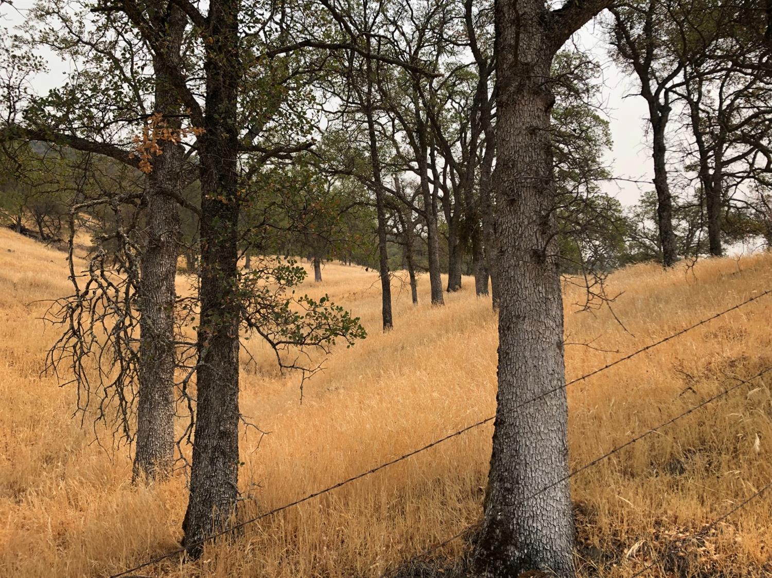 Acres, Pilot Hill, California image 19