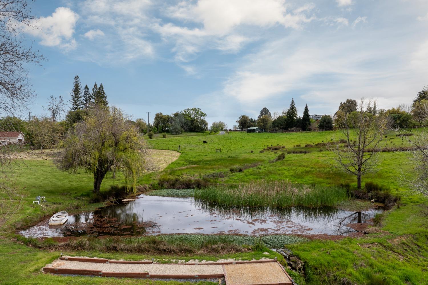 Chili Hill Road, Newcastle, California image 19