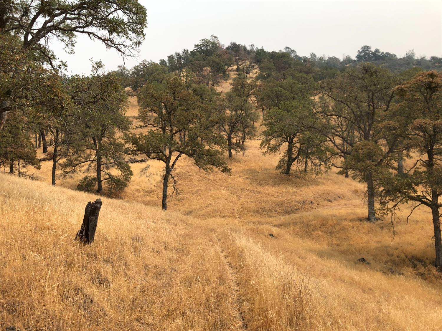 Acres, Pilot Hill, California image 16