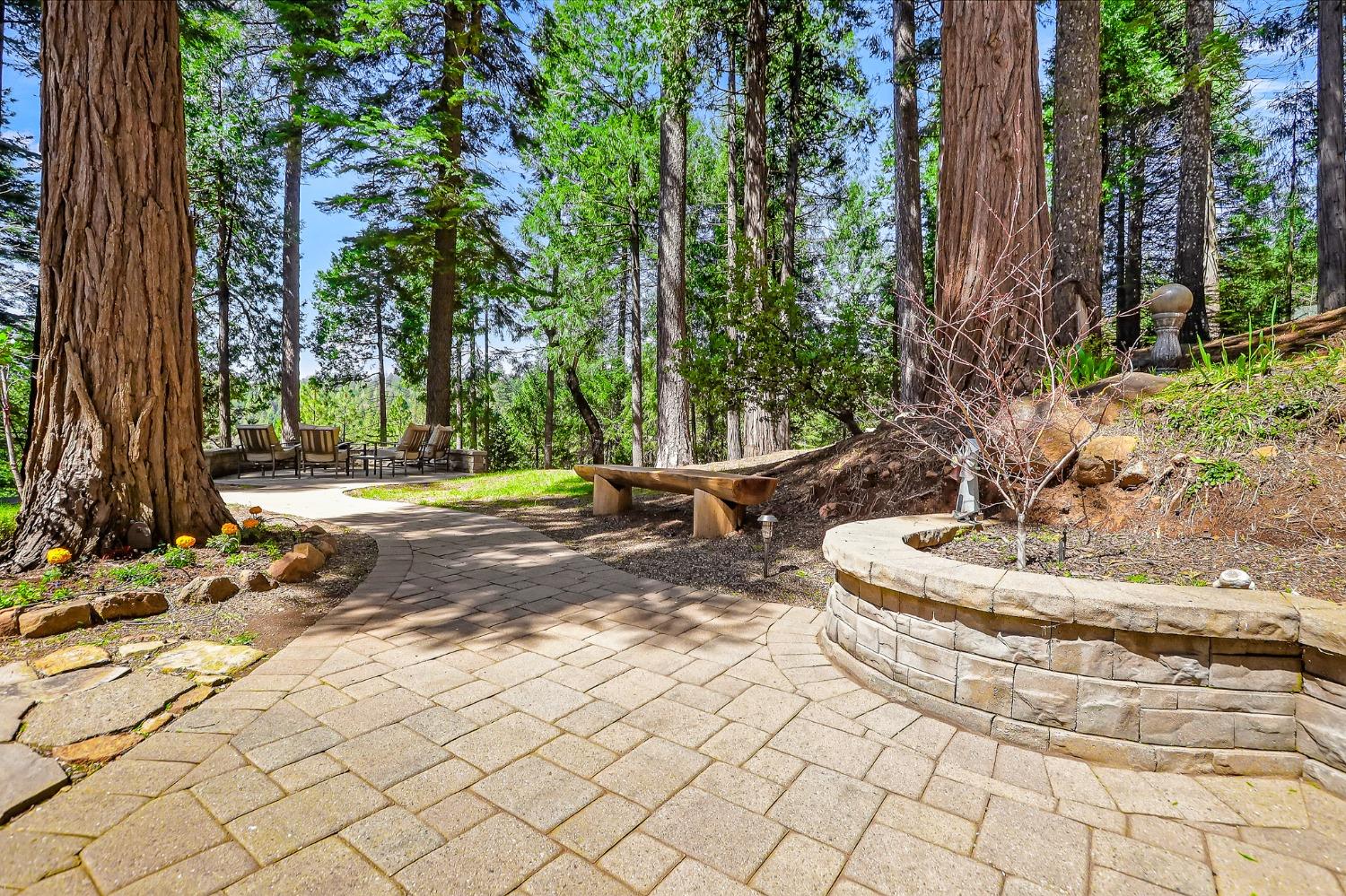 Detail Gallery Image 45 of 71 For 2081 Racoon Trl, Pollock Pines,  CA 95726 - 3 Beds | 2/1 Baths