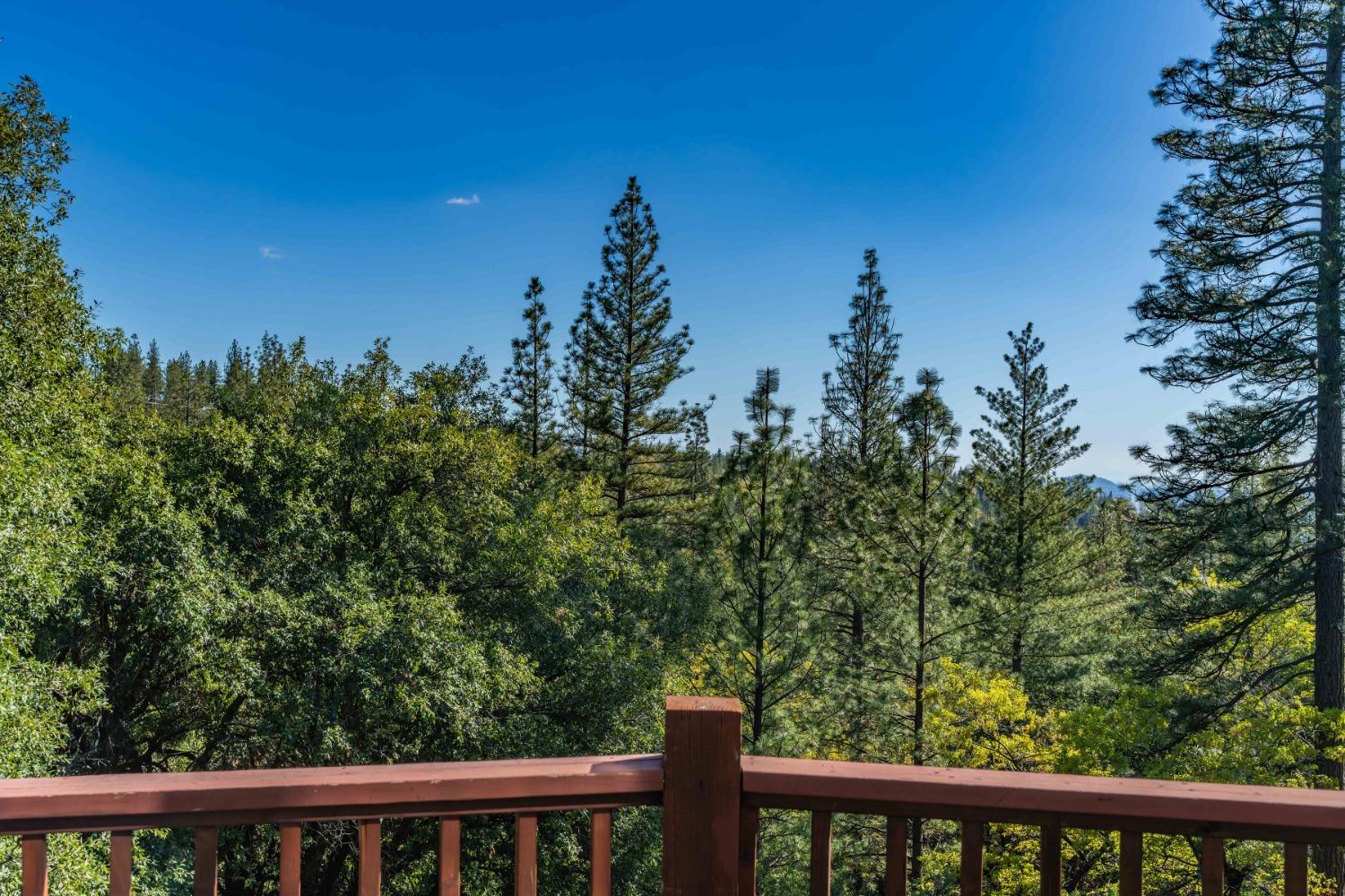 Detail Gallery Image 13 of 42 For 12518 Arrow Head Rd, Pine Grove,  CA 95665 - 2 Beds | 2 Baths
