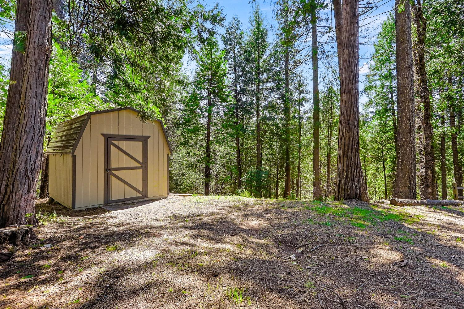 Detail Gallery Image 40 of 71 For 2081 Racoon Trl, Pollock Pines,  CA 95726 - 3 Beds | 2/1 Baths