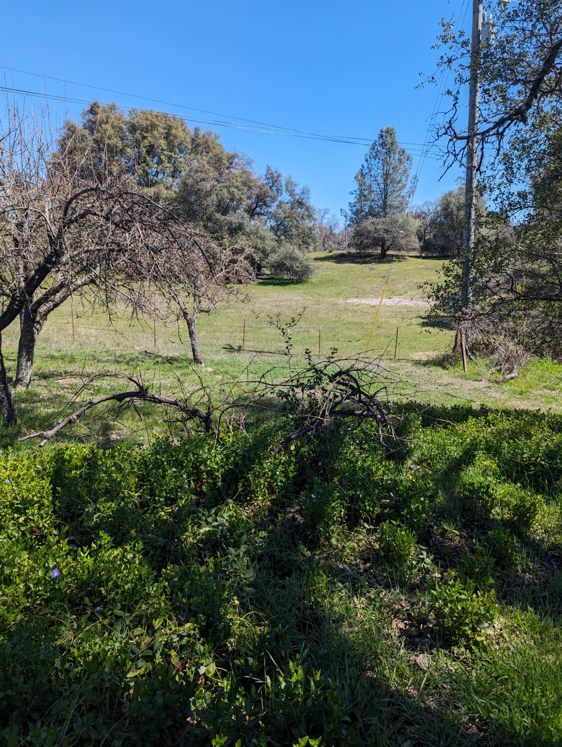 Newtown Road, Nevada City, California image 5