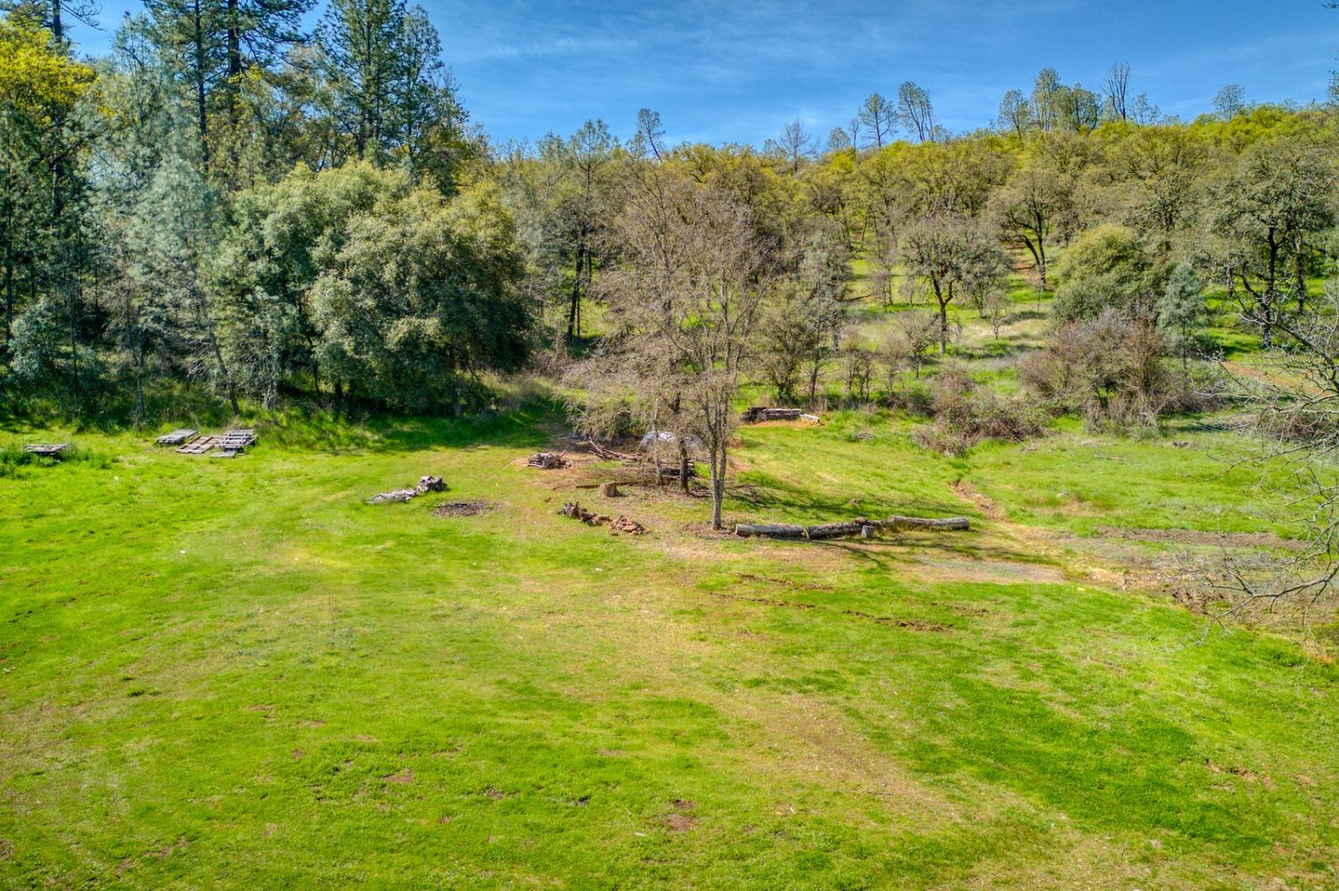 Detail Gallery Image 42 of 53 For 12043 Wolf Rd, Grass Valley,  CA 95949 - 3 Beds | 2 Baths