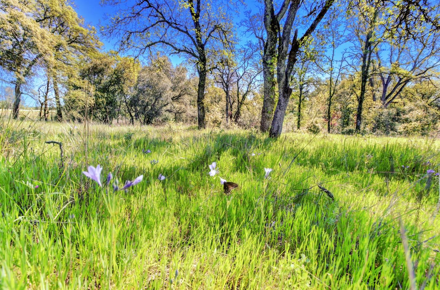 Detail Gallery Image 11 of 63 For 99999 Sanstone Ln., Browns Valley,  CA 95918 - – Beds | – Baths