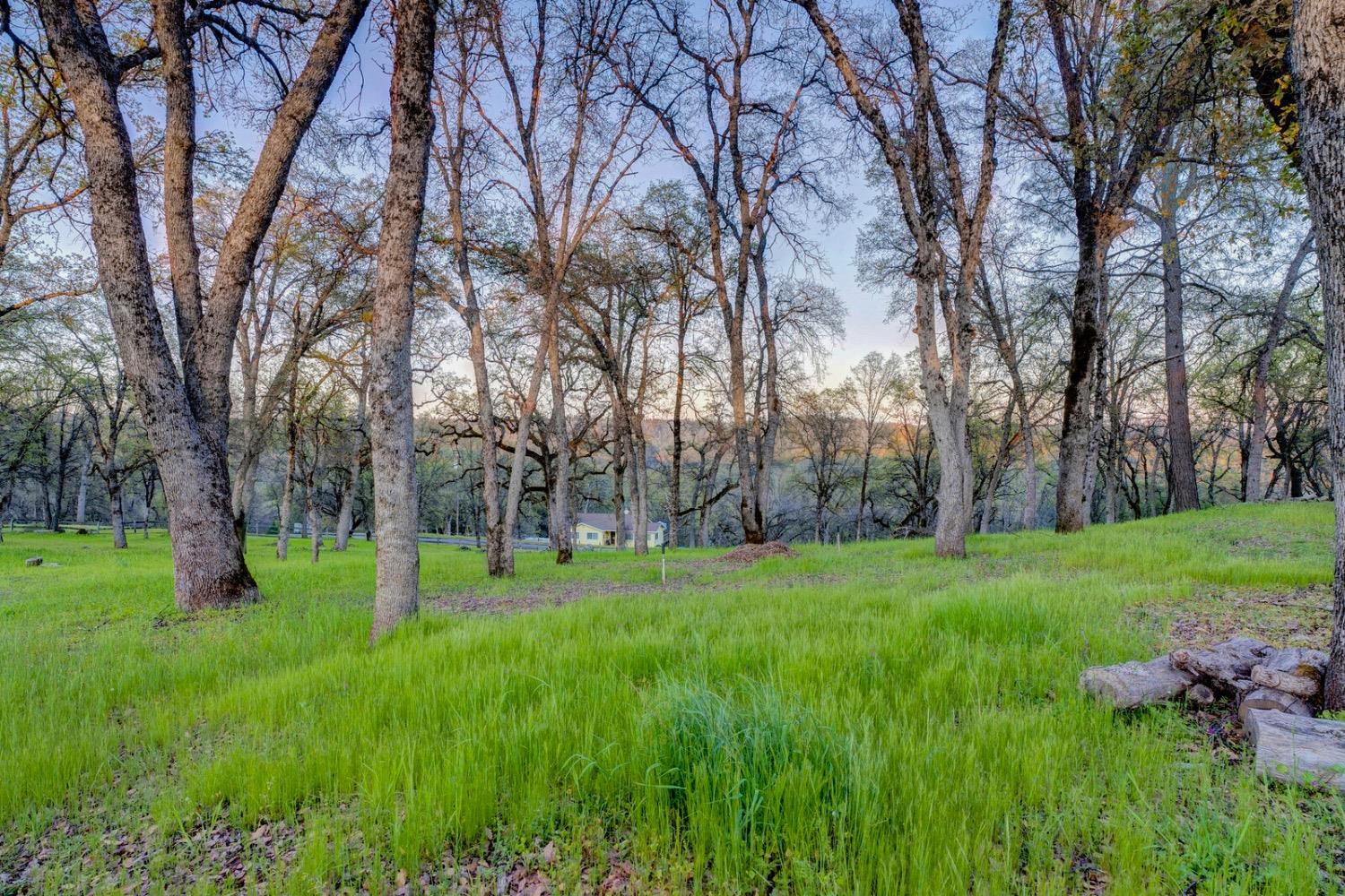 Detail Gallery Image 33 of 37 For 6464 Pikes Peak Cir, Garden Valley,  CA 95633 - 2 Beds | 2 Baths