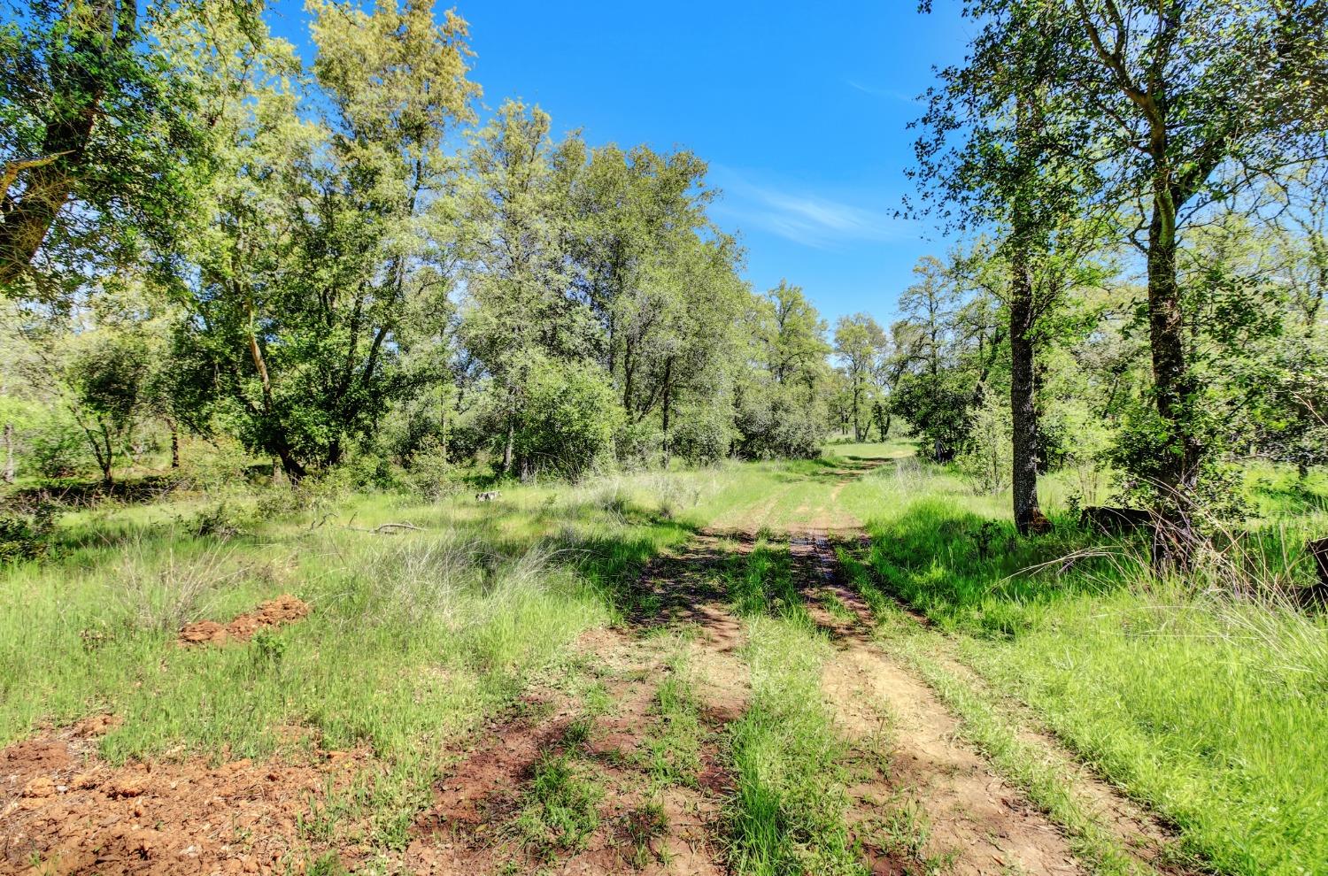 Detail Gallery Image 38 of 63 For 99999 Sanstone Ln., Browns Valley,  CA 95918 - – Beds | – Baths