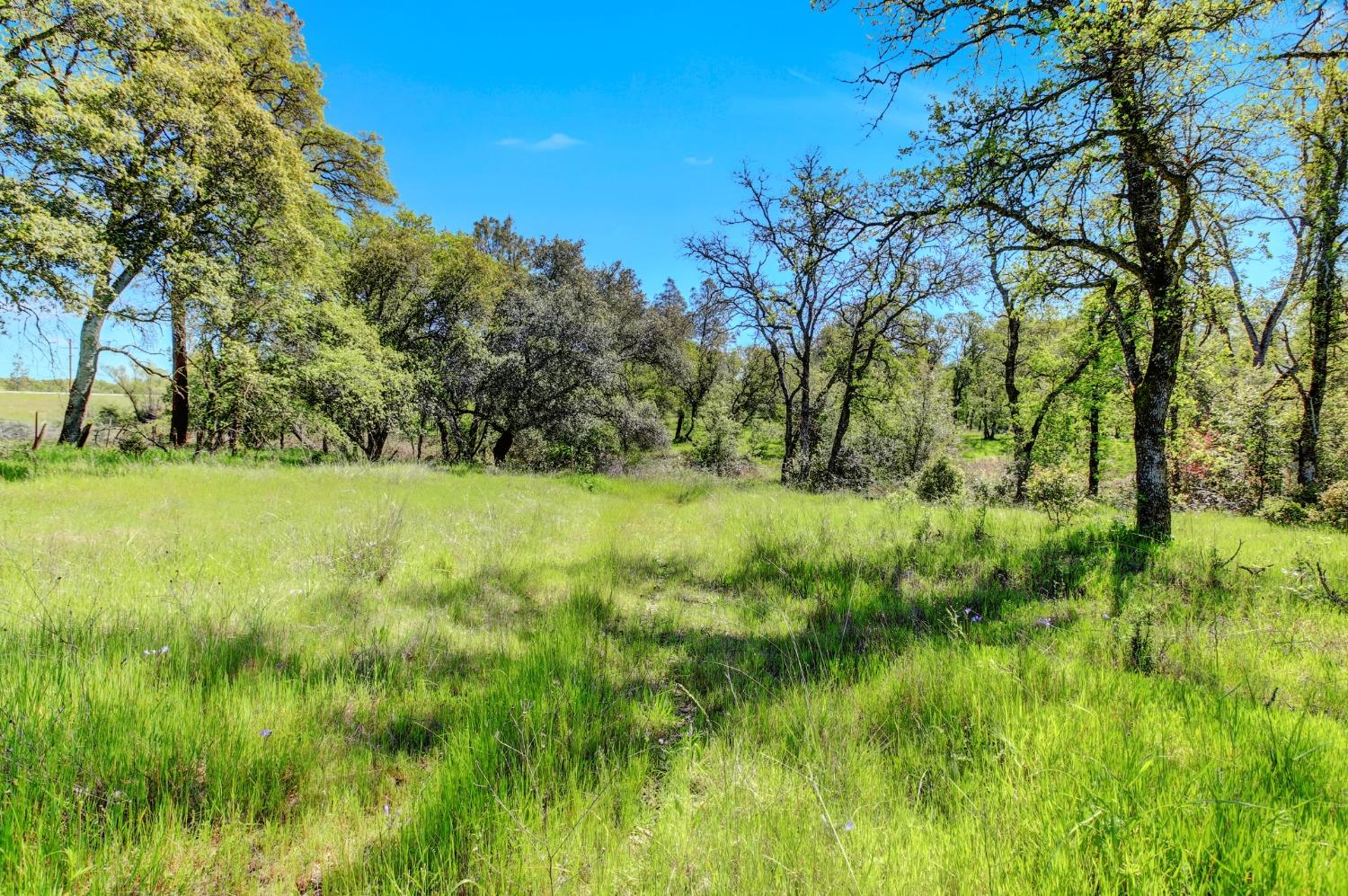 Detail Gallery Image 55 of 63 For 99999 Sanstone Ln., Browns Valley,  CA 95918 - – Beds | – Baths