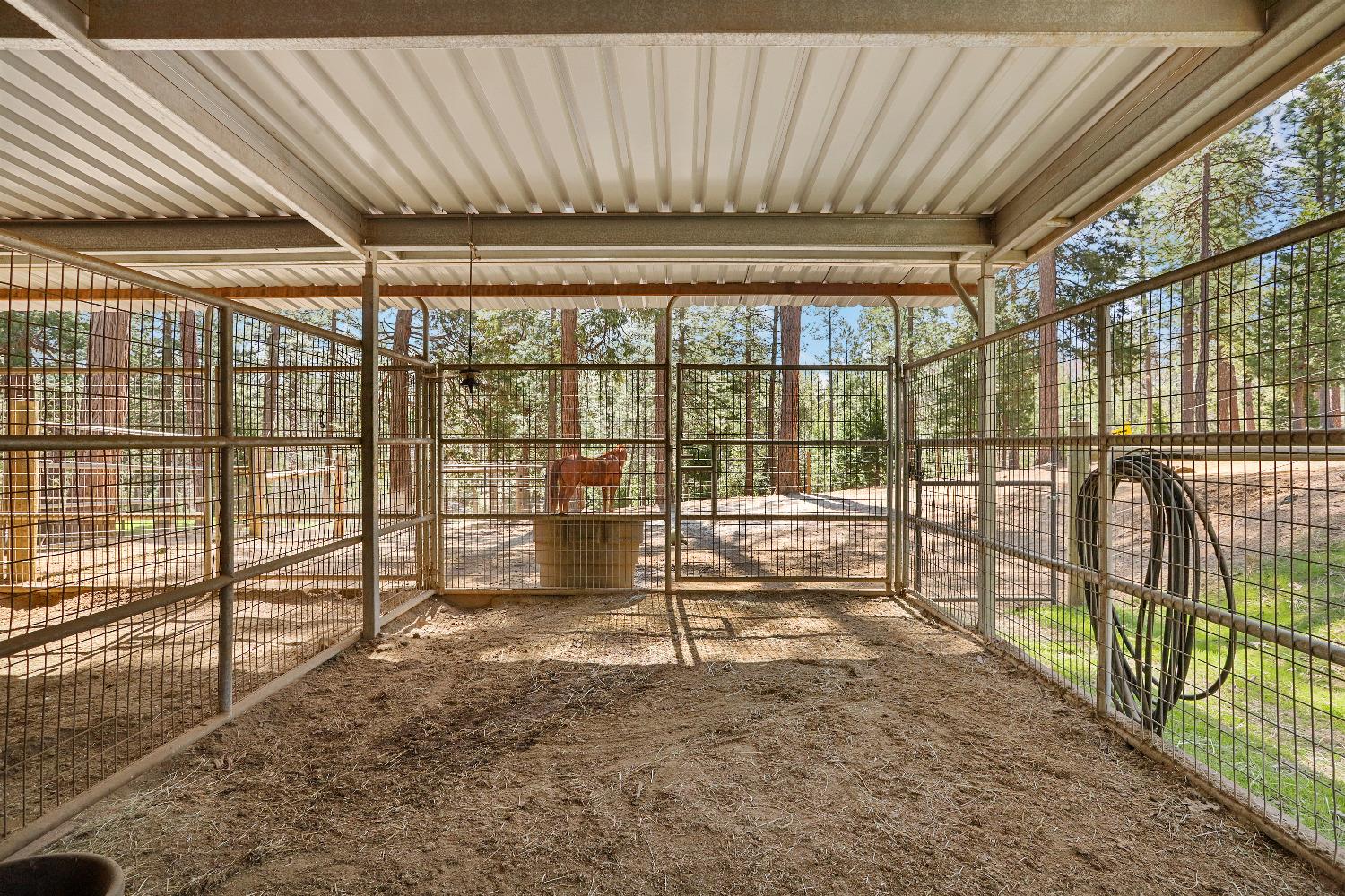 Detail Gallery Image 76 of 88 For 10415 Mcmahon Rd, Coulterville,  CA 95311 - 3 Beds | 3/1 Baths