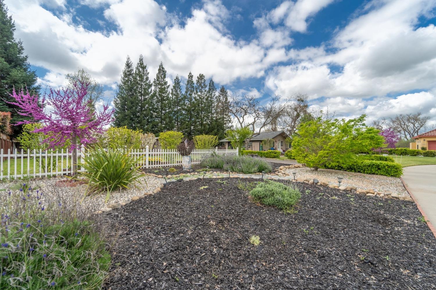 Detail Gallery Image 8 of 37 For 882 Reinman Ct, Oakdale,  CA 95361 - 3 Beds | 2 Baths