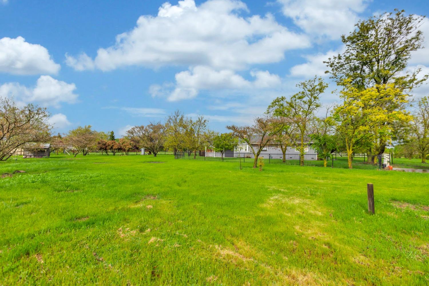 Ivie Road, Herald, California image 38