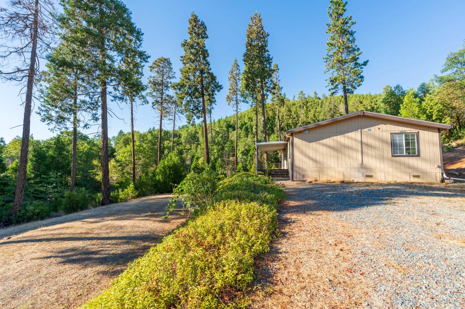 Detail Gallery Image 47 of 48 For 15576 Maple Springs Trl, Dobbins,  CA 95935 - 3 Beds | 2 Baths