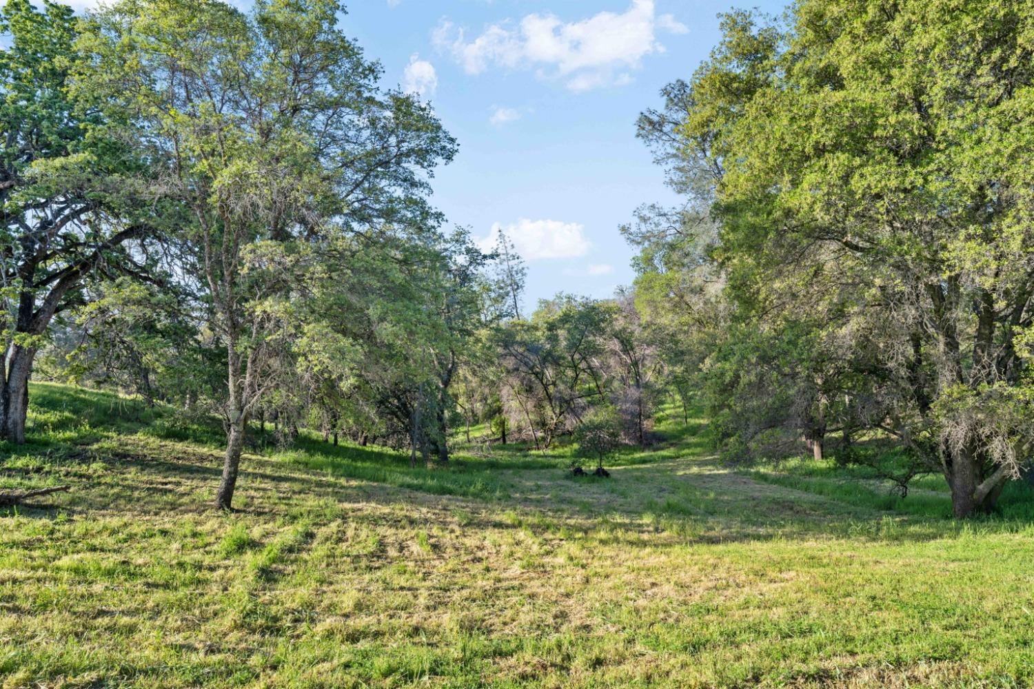 Detail Gallery Image 9 of 25 For 5400 Maranatha Ln, Lincoln,  CA 95648 - – Beds | – Baths