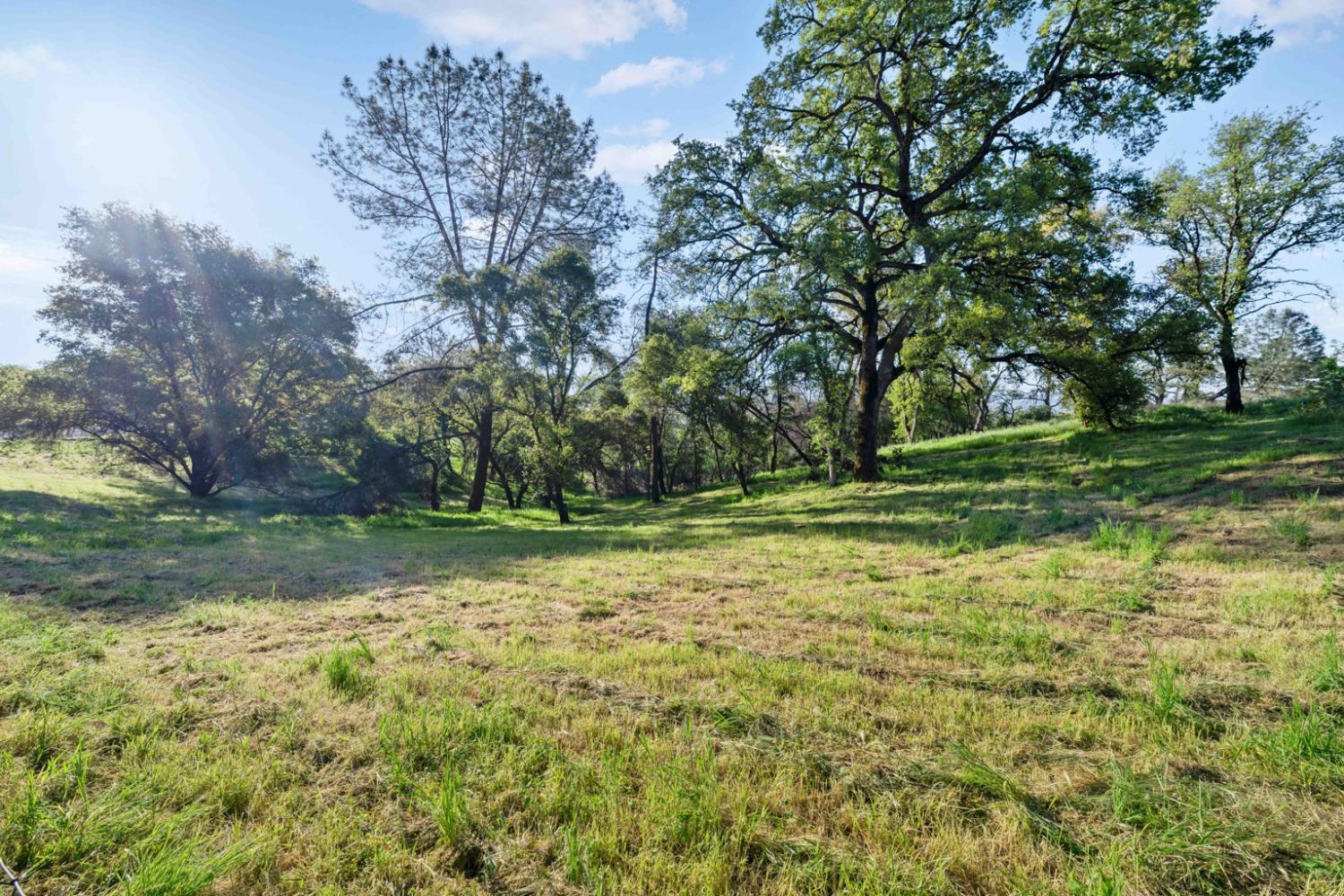 Detail Gallery Image 12 of 25 For 5400 Maranatha Ln, Lincoln,  CA 95648 - – Beds | – Baths