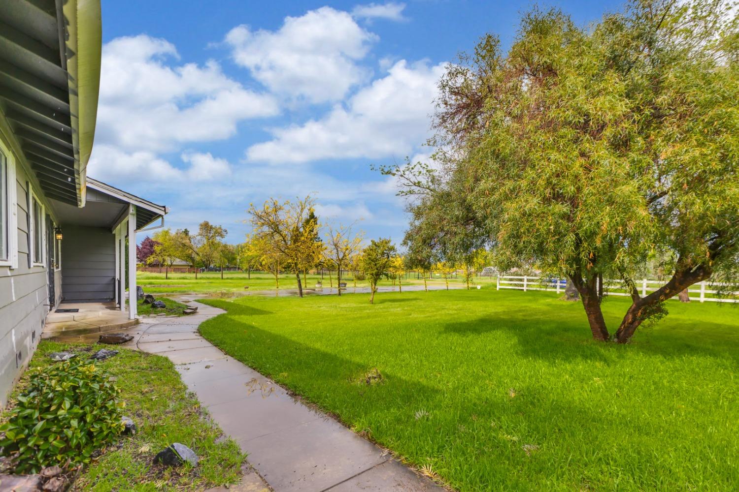 Ivie Road, Herald, California image 8