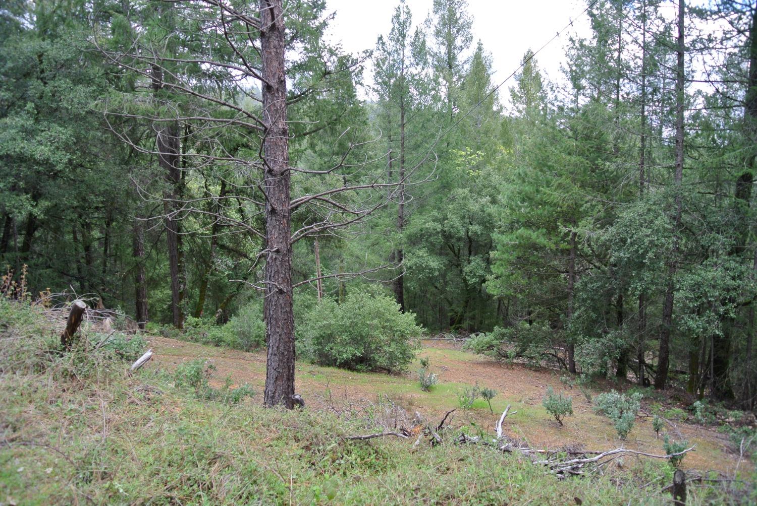 Photo of 64-Lot Grandview Dr in Colfax, CA