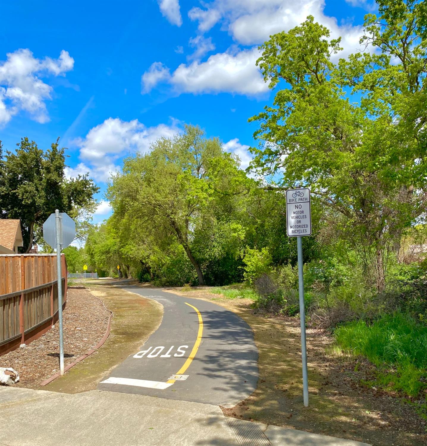 Cedro Circle, Sacramento, California image 17