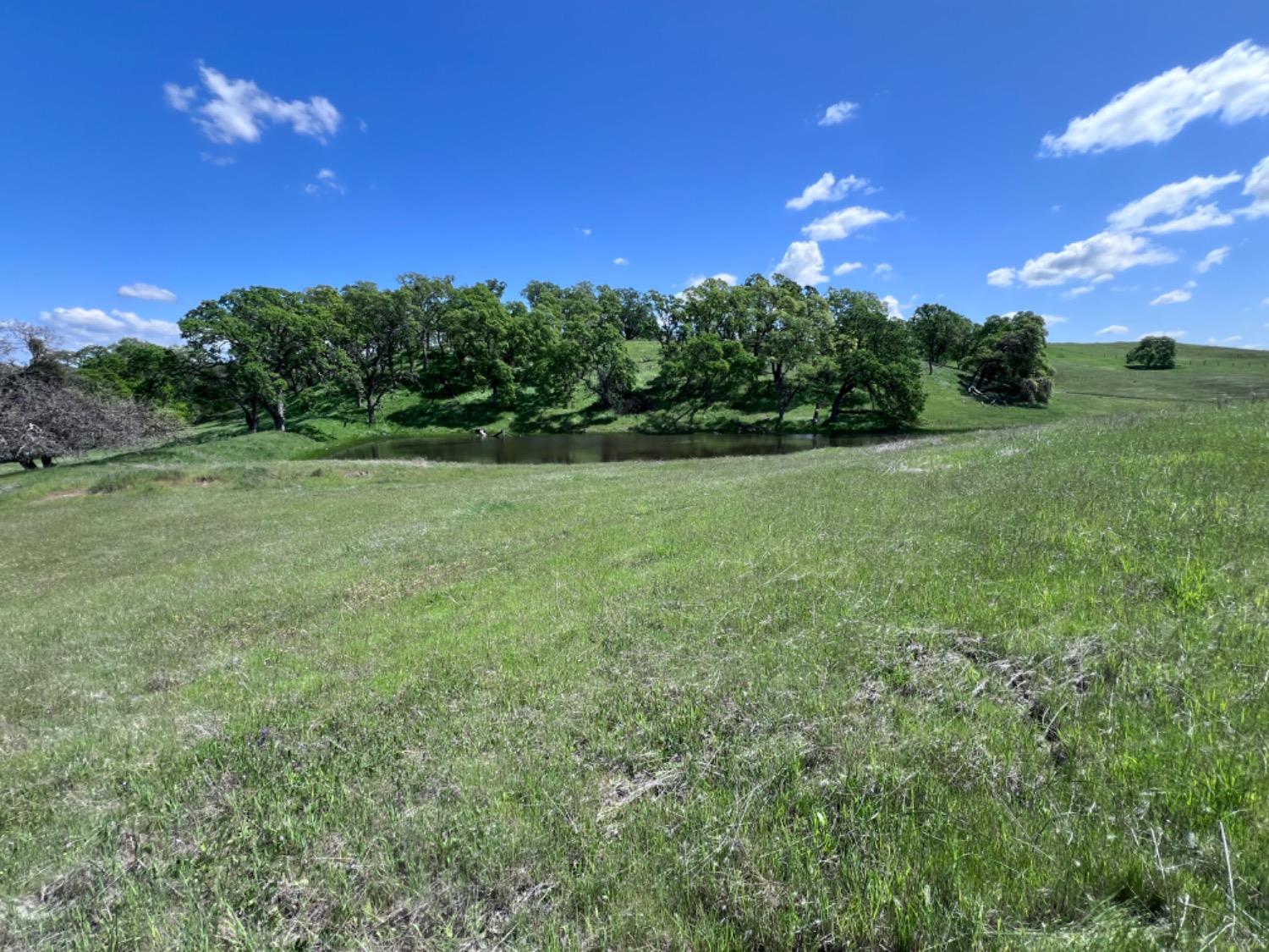 Latrobe Road, Rancho Murieta, California image 18