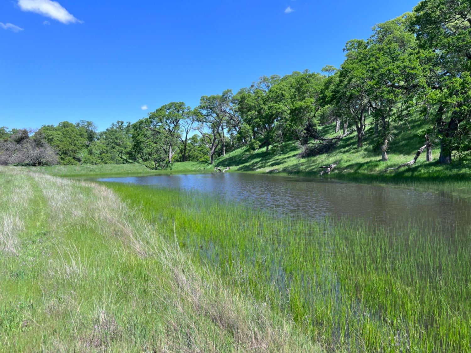 Latrobe Road, Rancho Murieta, California image 13