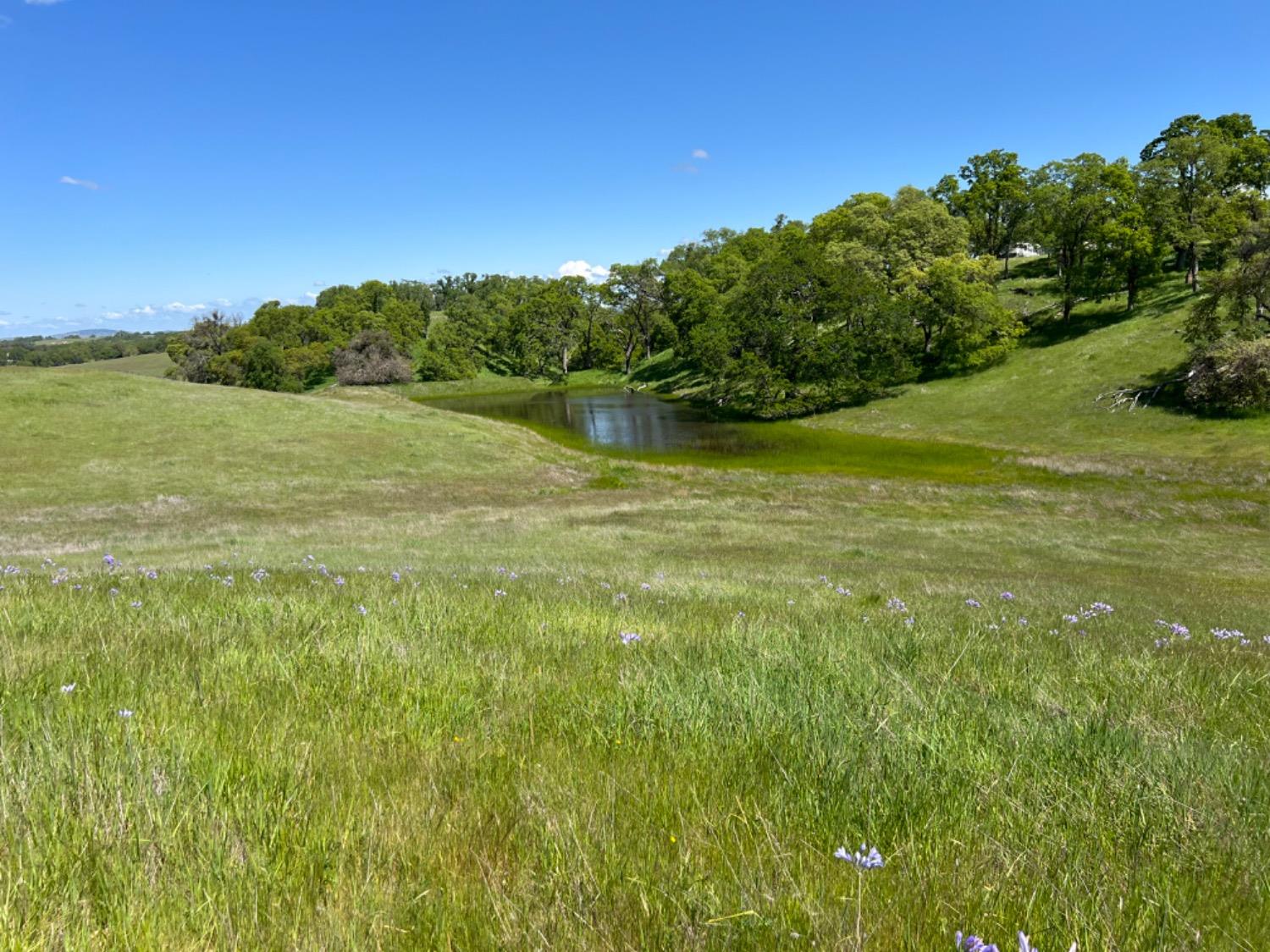 Latrobe Road, Rancho Murieta, California image 14