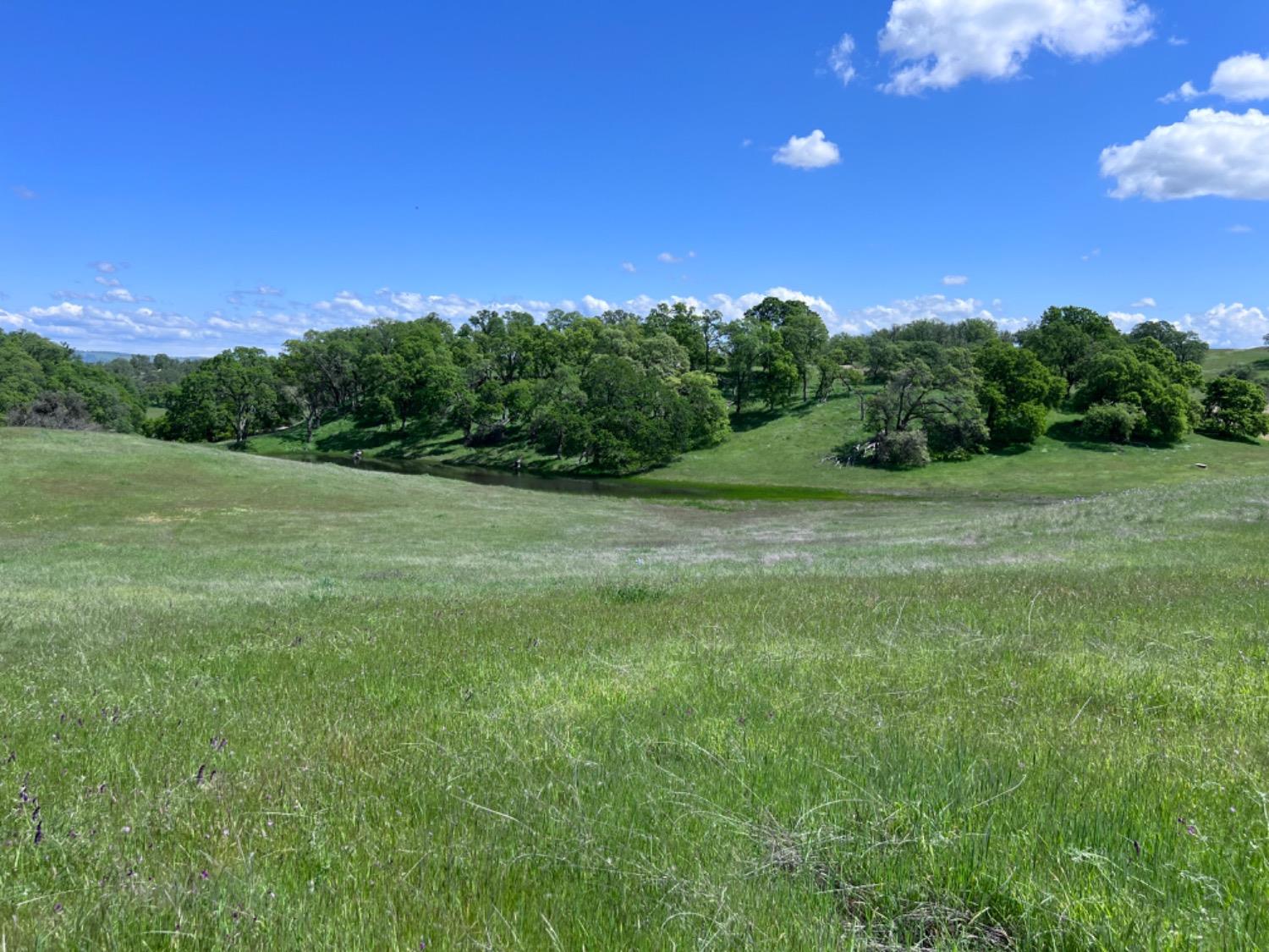 Latrobe Road, Rancho Murieta, California image 16