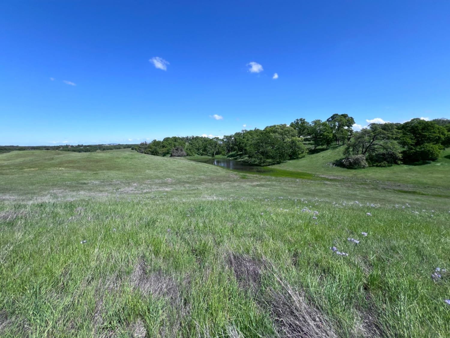 Latrobe Road, Rancho Murieta, California image 15