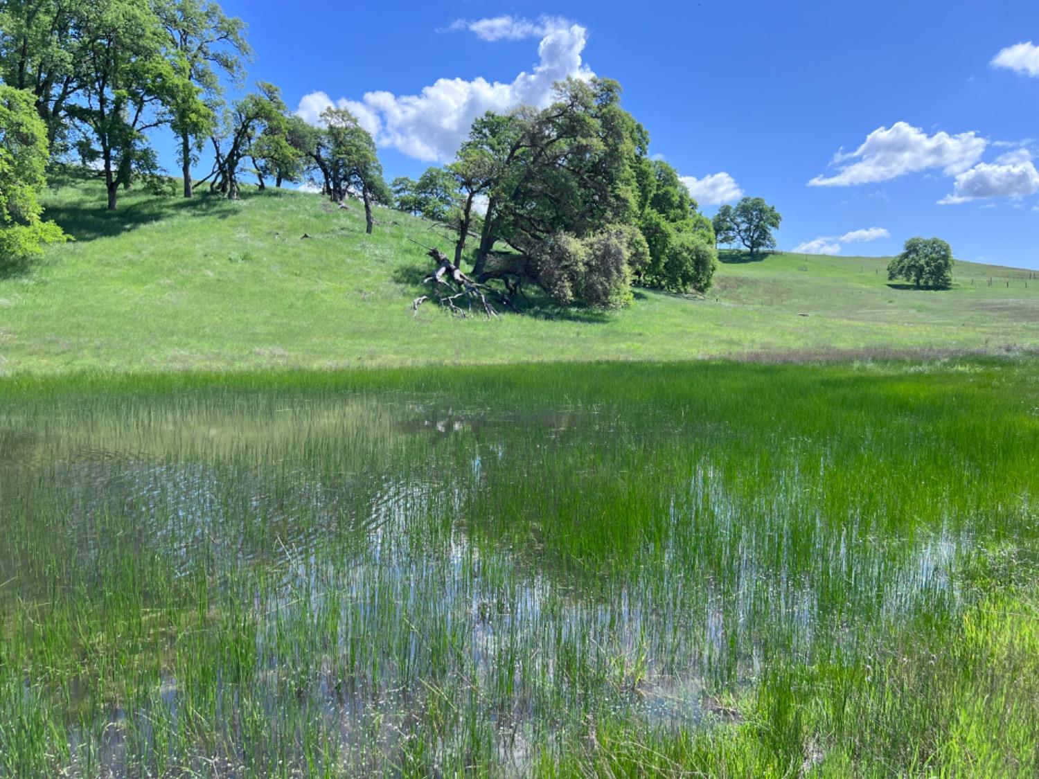 Latrobe Road, Rancho Murieta, California image 12